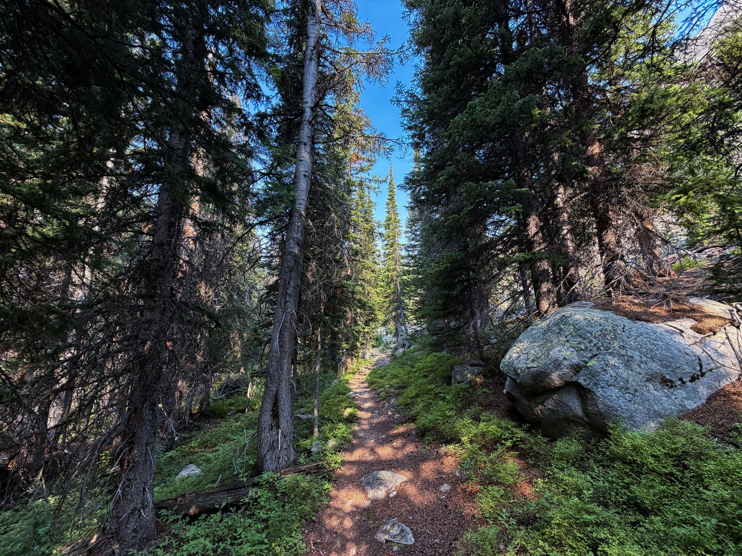 East Rosebud Trail The Beaten Path Beartooth Mountains Montana