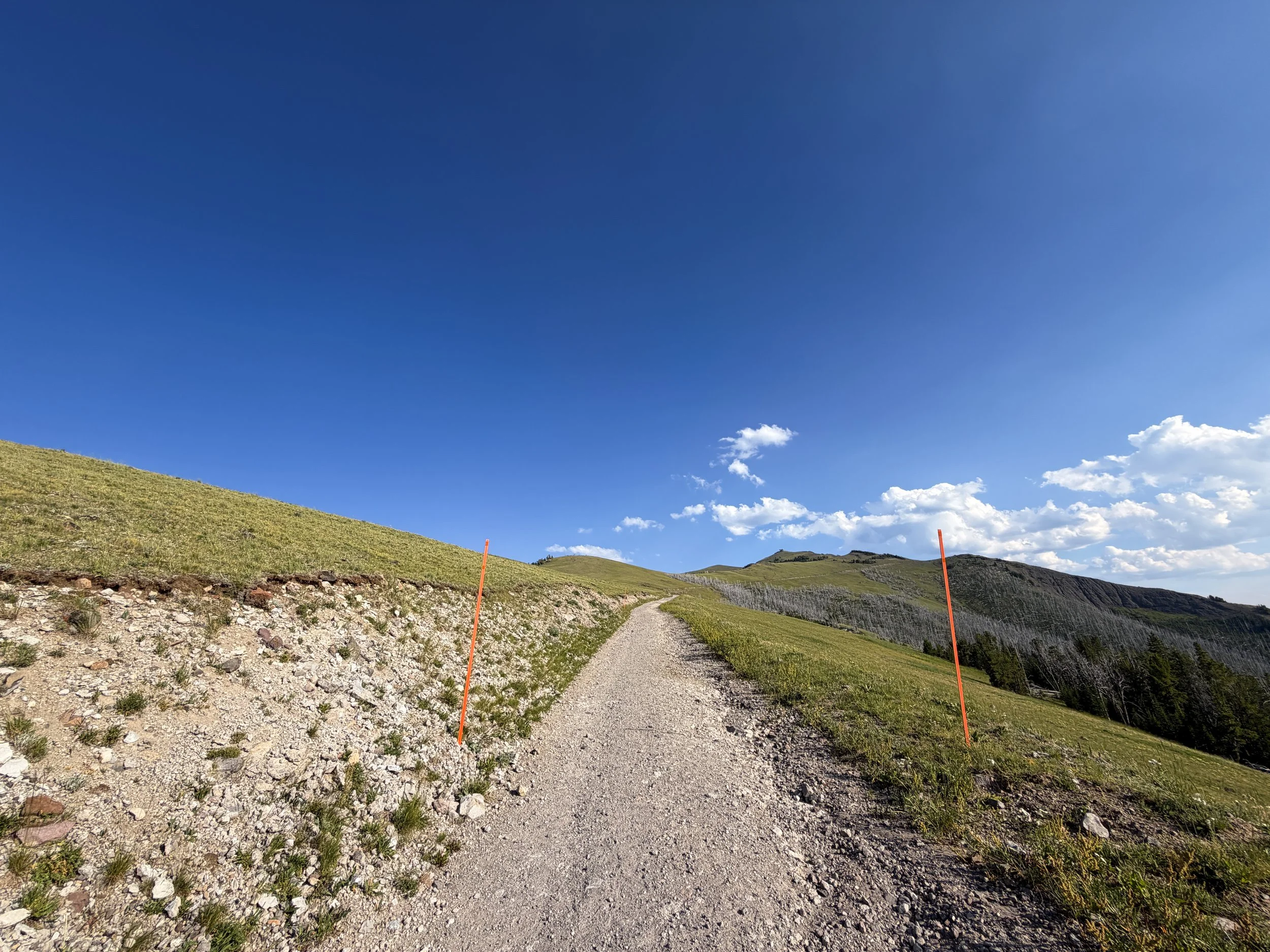 Mt. Washburn Trail via Chittenden Road Yellowstone National Park Wyoming