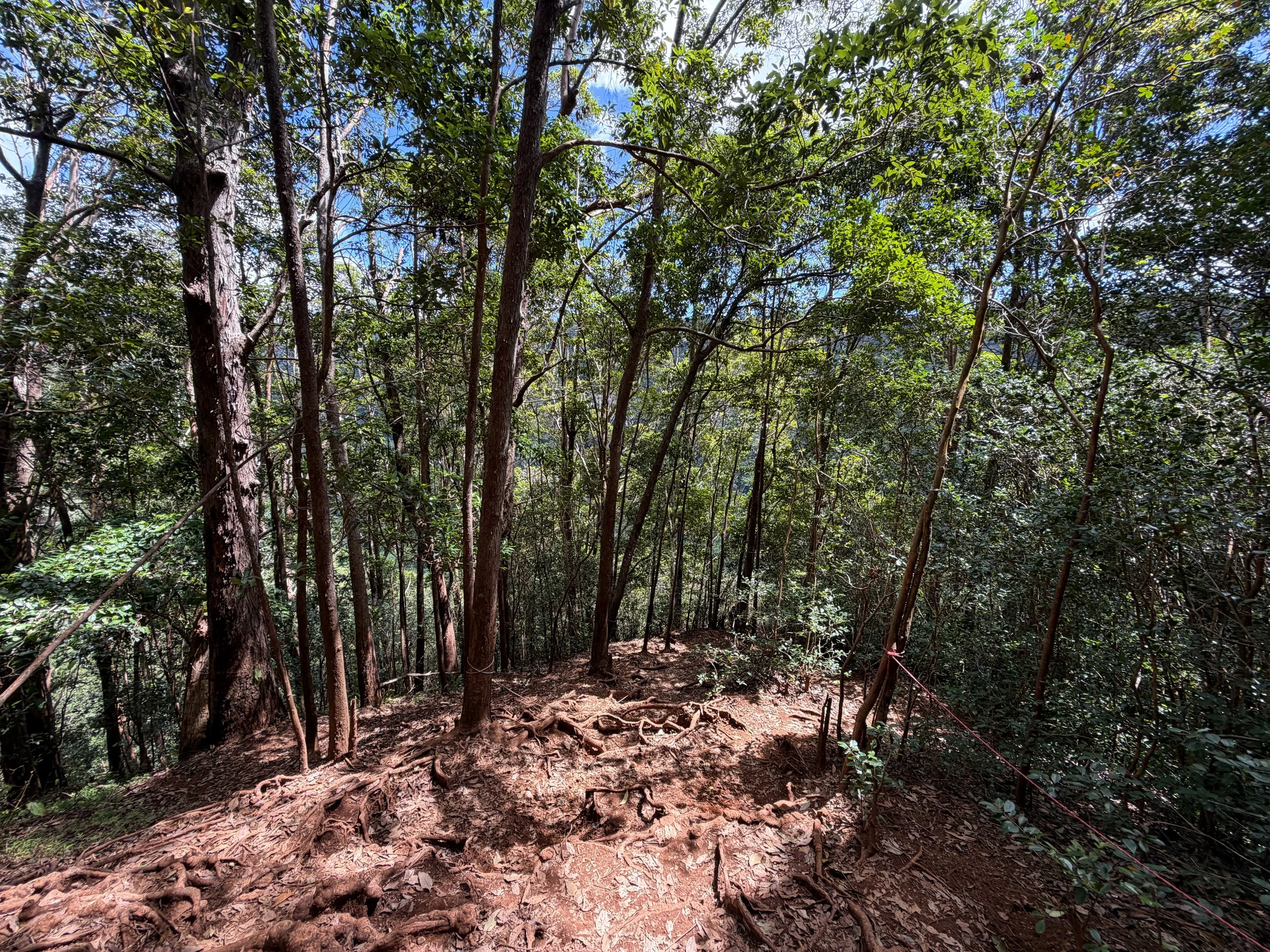Waimano Falls Hike Oahu Hawaii