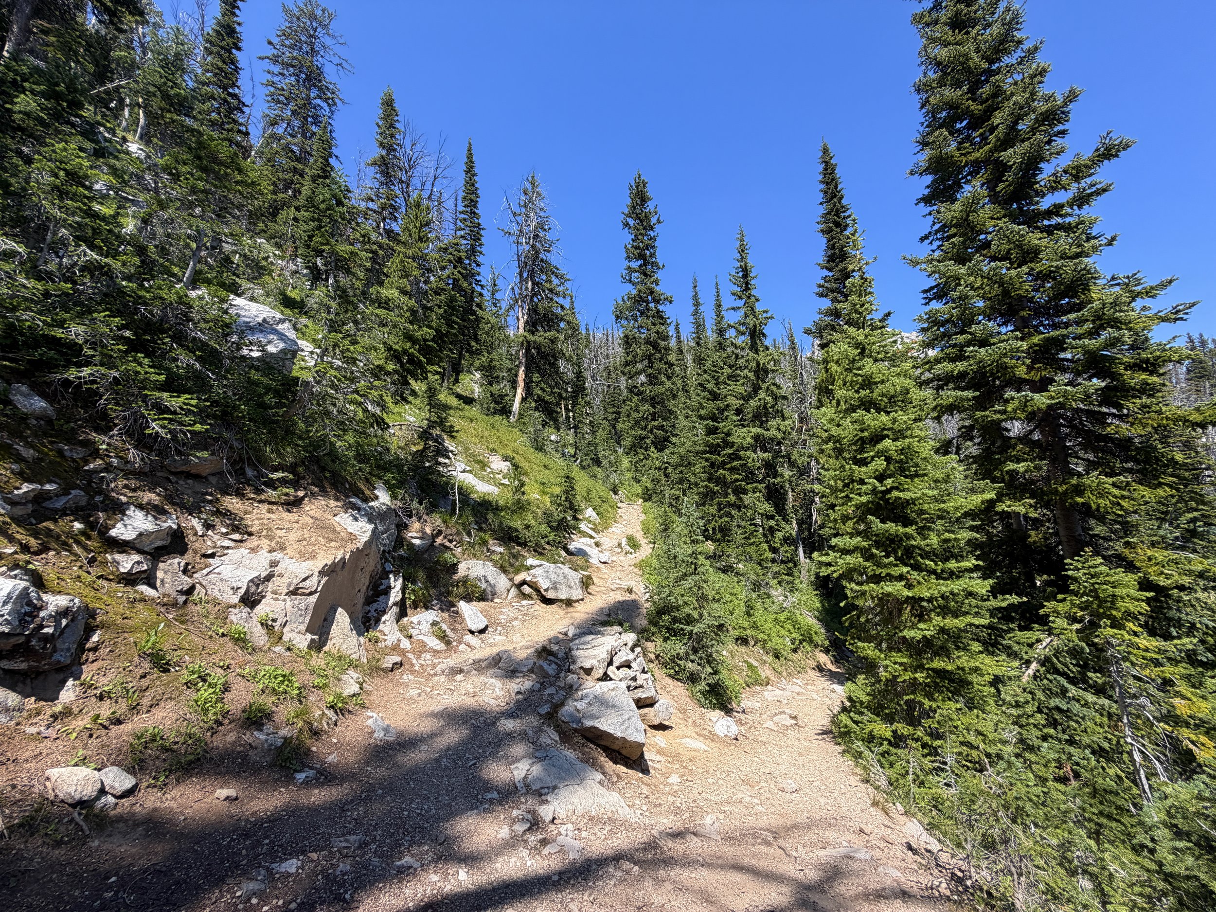 Surprise and Amphitheater Lakes Trail Grand Teton National Park Wyoming