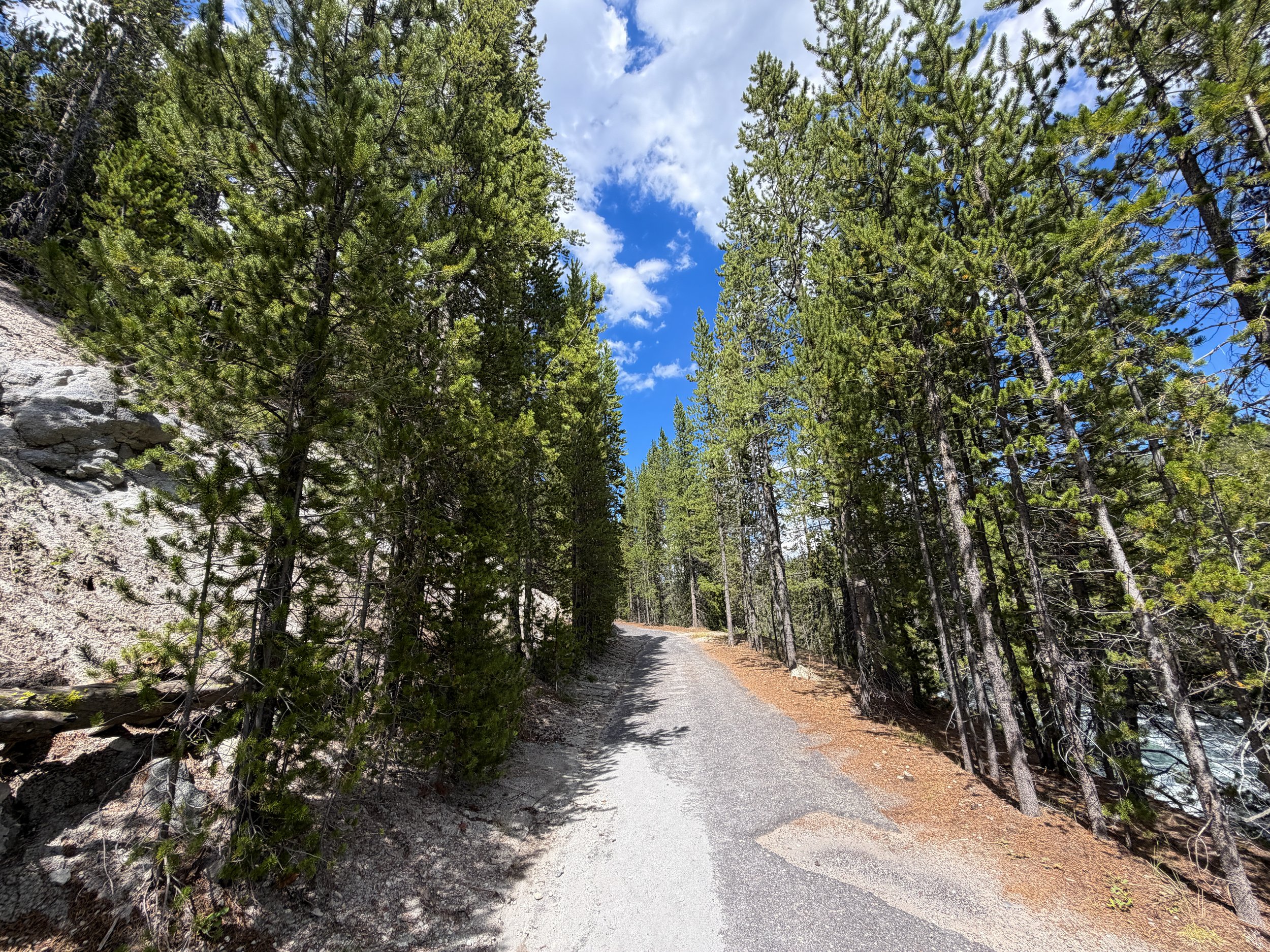 North Rim Trail Yellowstone National Park Wyoming