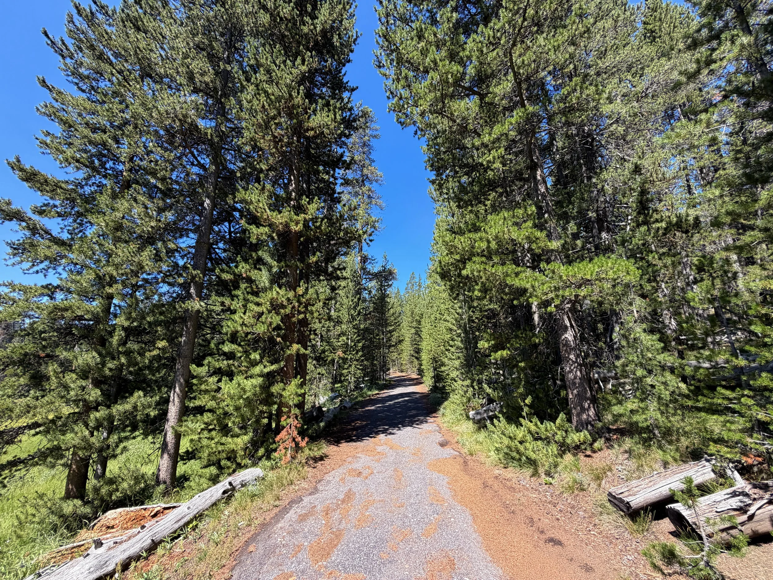Lone Star Trail Yellowstone National Park Wyoming