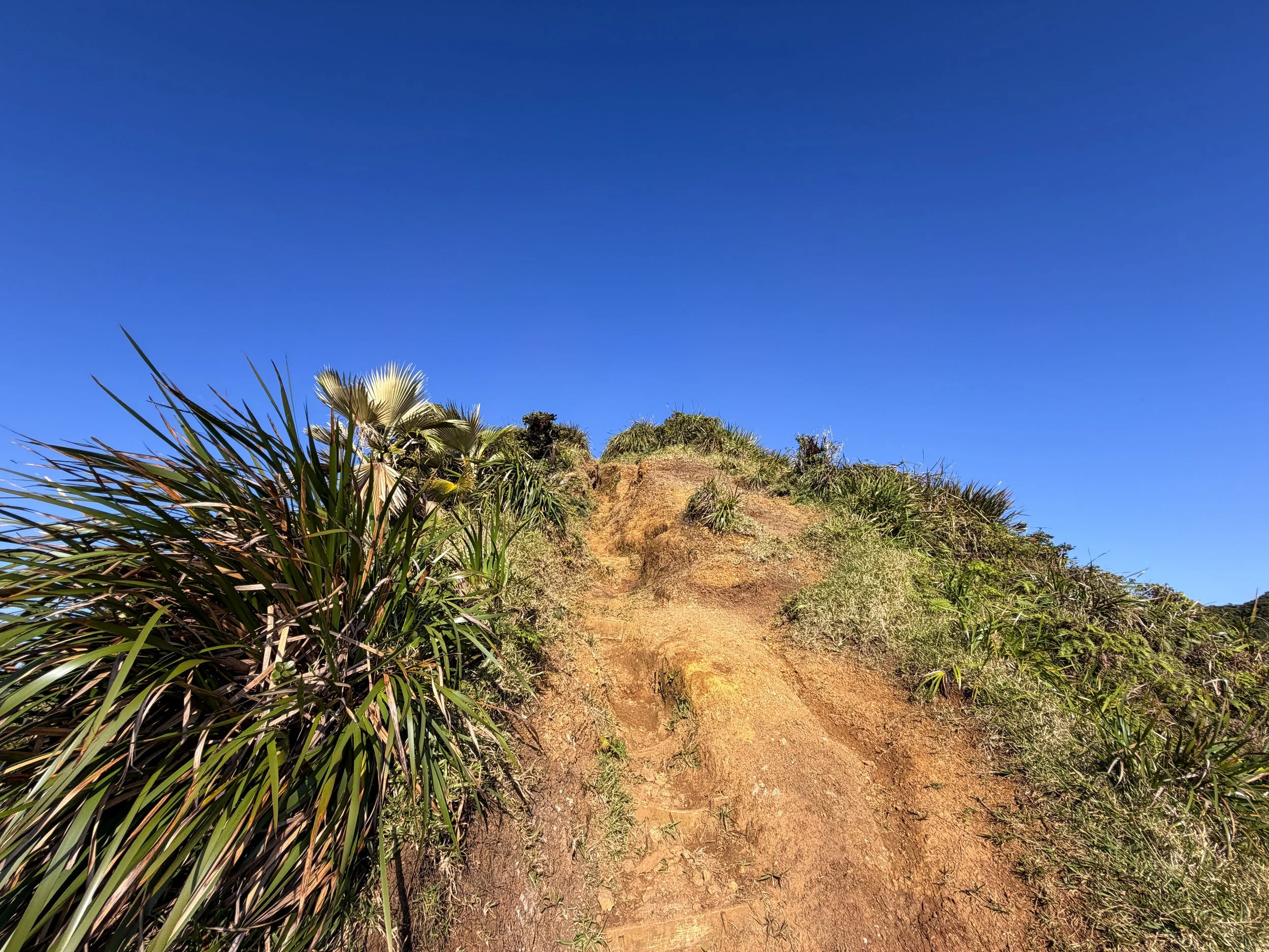 Moanalua Middle Ridge Trail to Stairway to Heaven Ropes Oahu Hawaii
