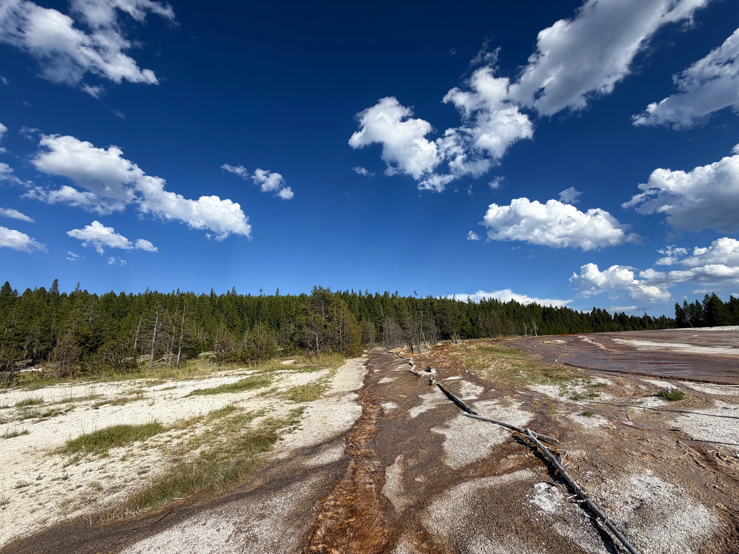 Artemisia Trail Yellowstone National Park Wyoming