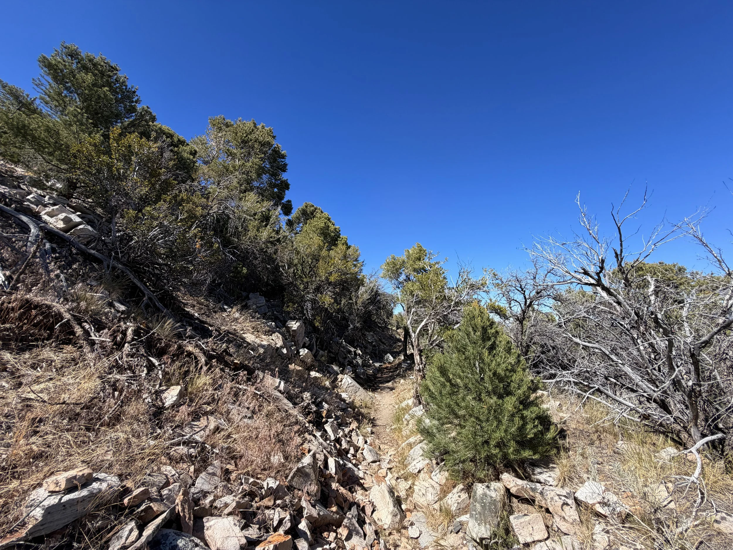 Osceola Ditch Hike Great Basin National Park Nevada