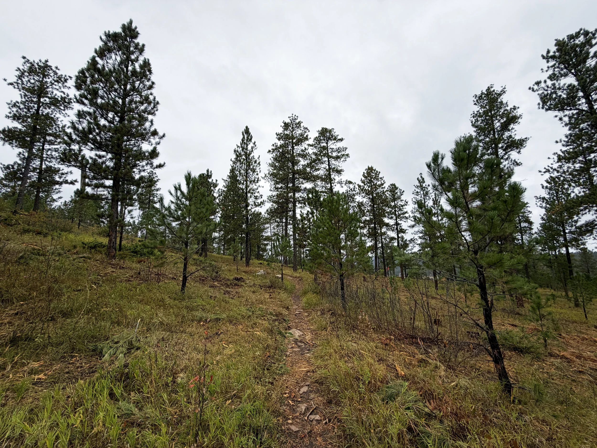 Buzzards Roost Trail Black Hills Rapid City South Dakota