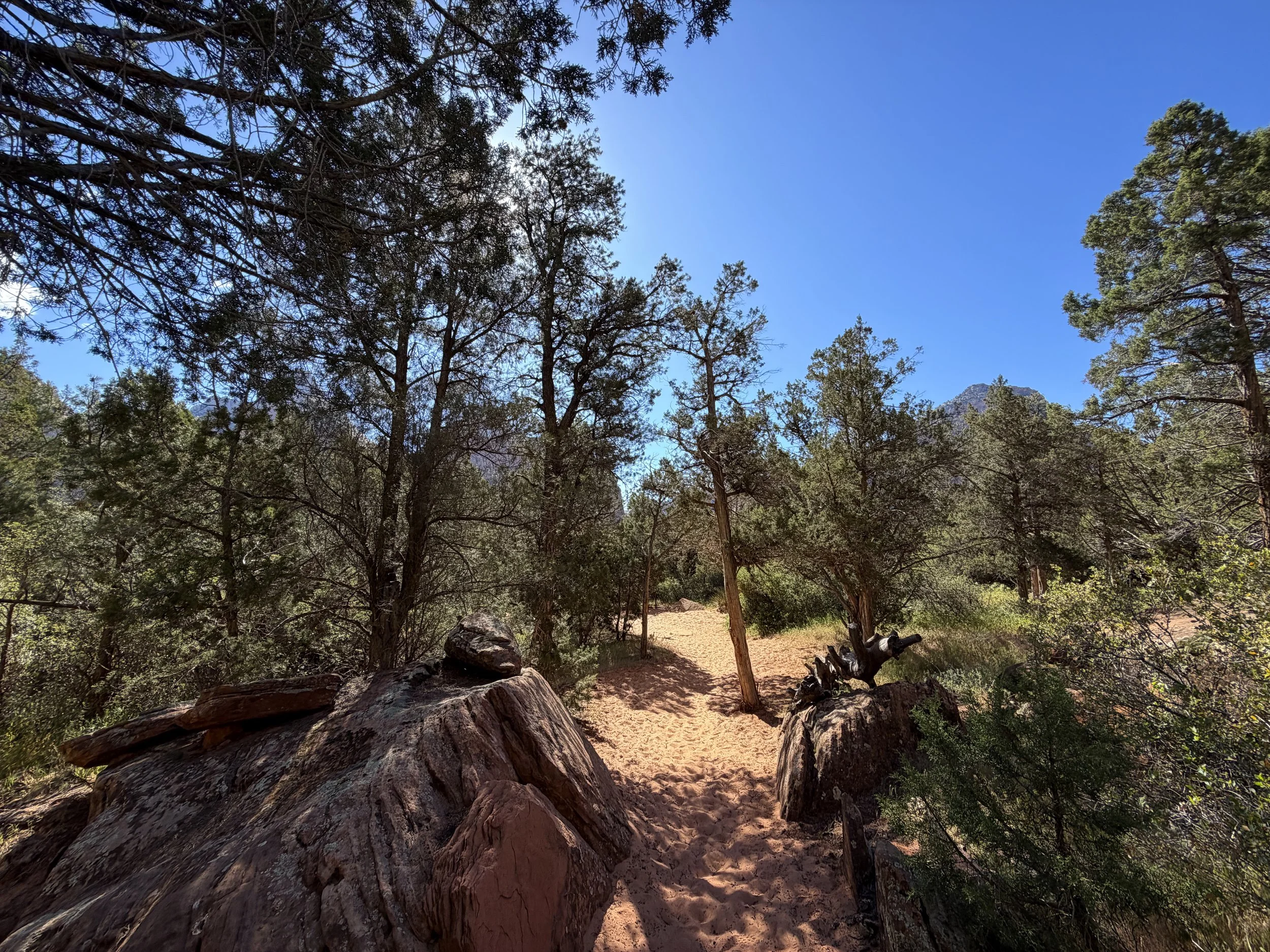 Sand Bench Loop Hike Zion National Park Utah