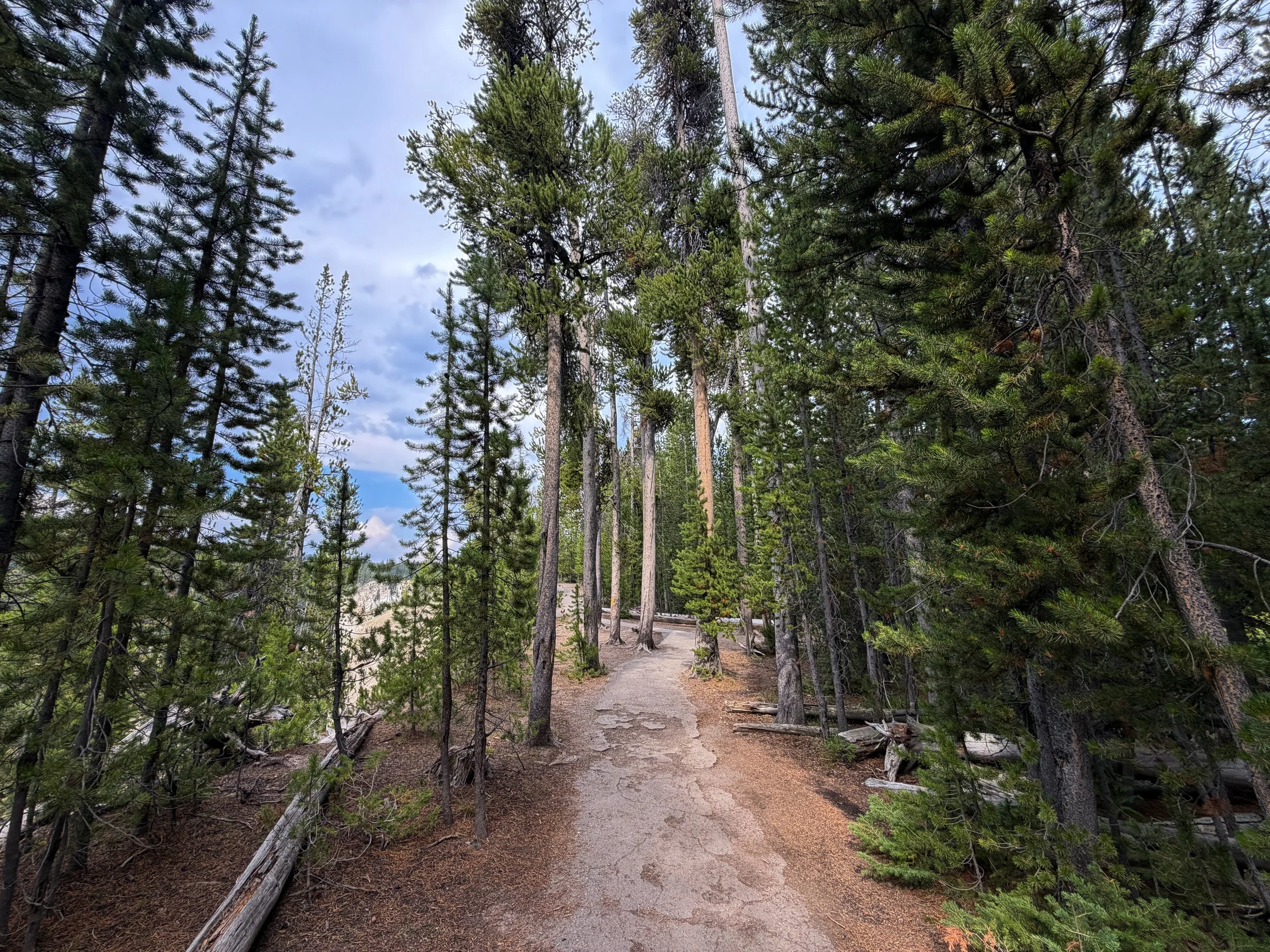 South Rim Trail Yellowstone National Park Wyoming