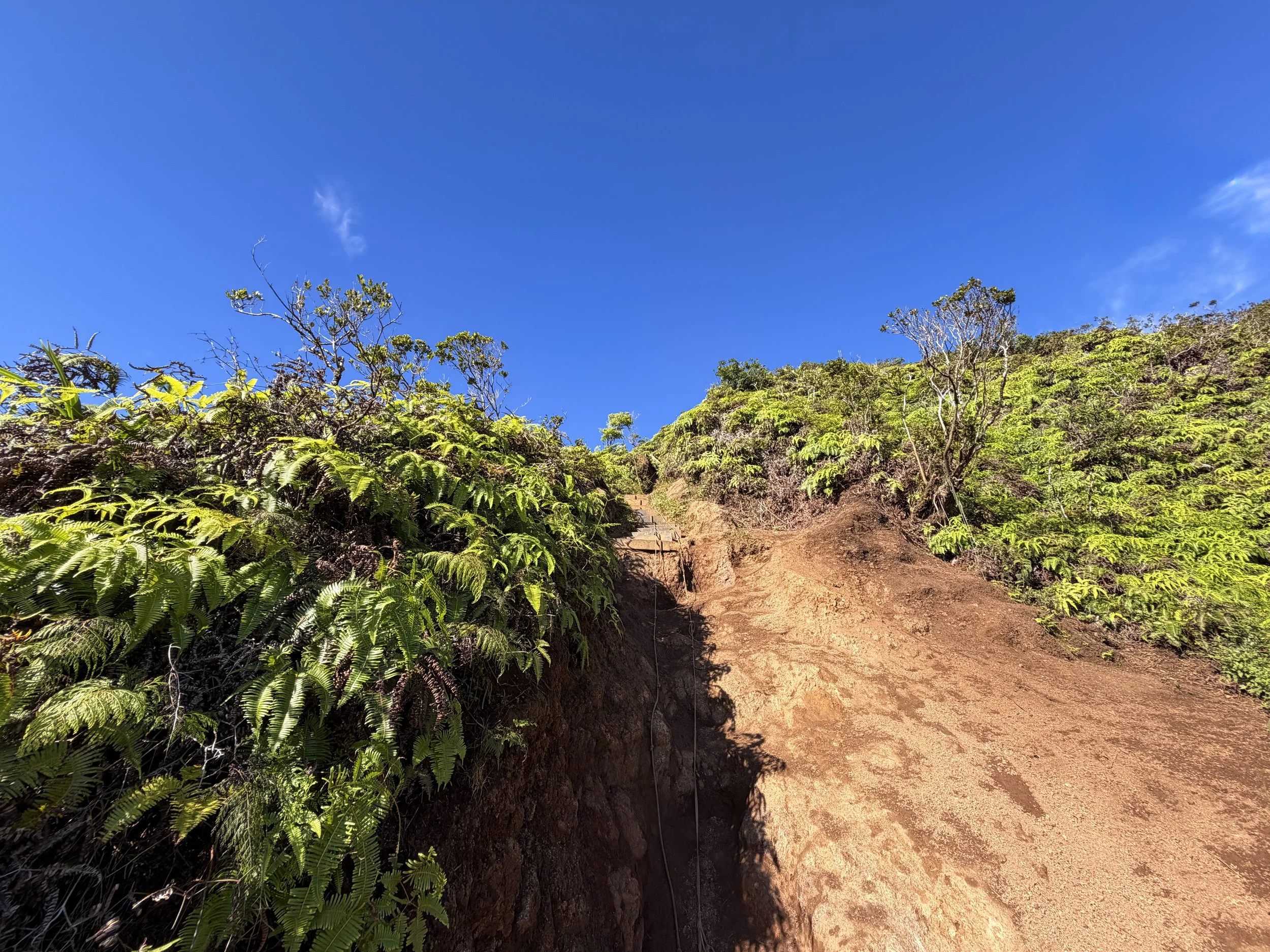 Wiliwilinui Ridge Hike Ropes Oahu Hawaii