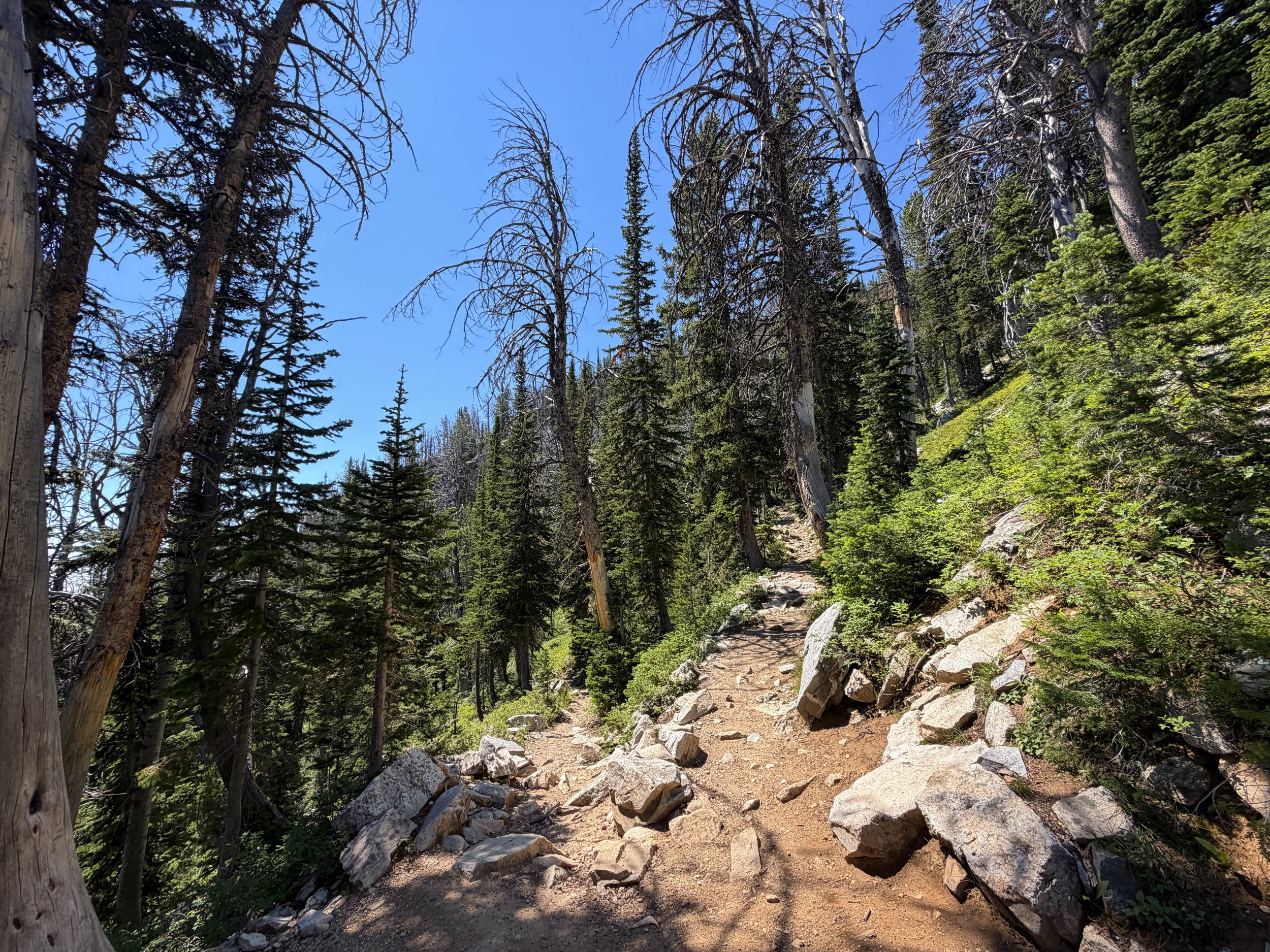 Surprise and Amphitheater Lakes Trail Grand Teton National Park Wyoming