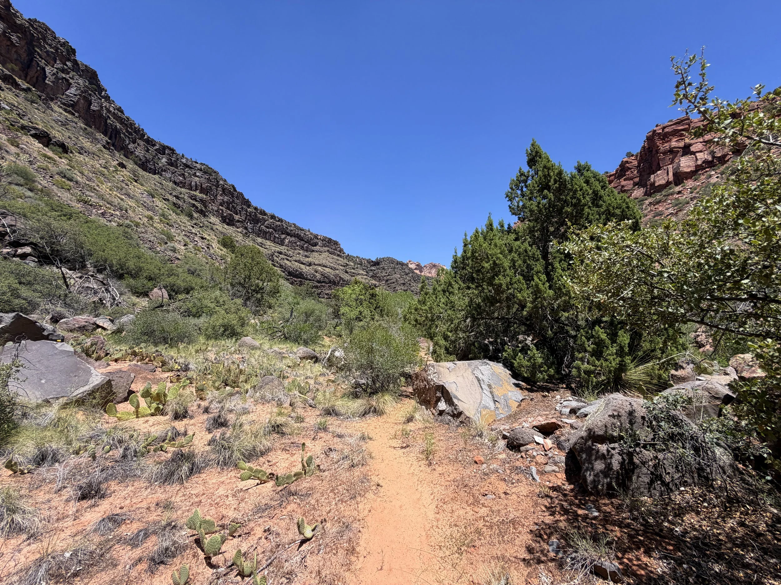 Grapevine Trail to Left Fork Falls Zion National Park Utah