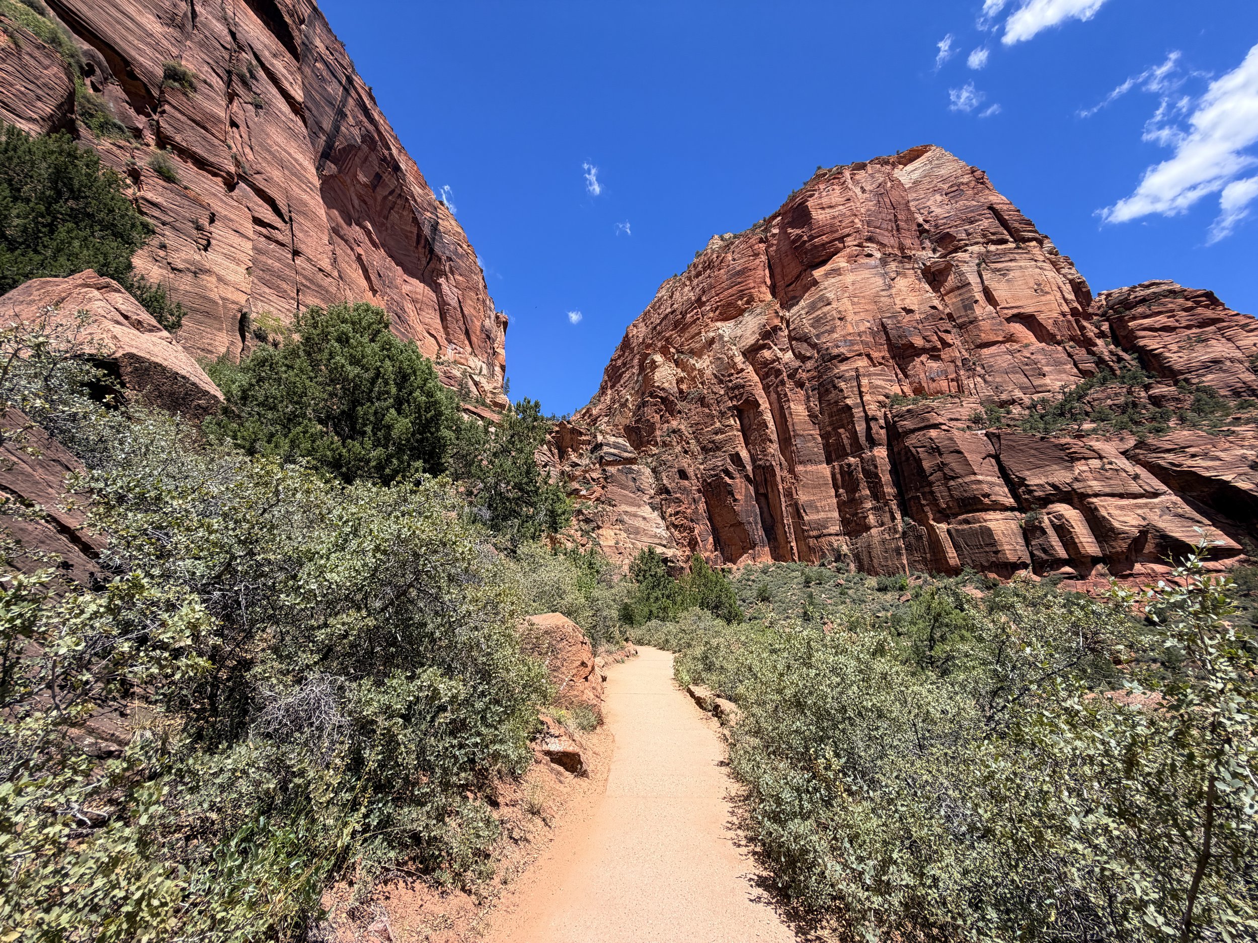 Angels Landing Trail Switchbacks Zion National Park Utah