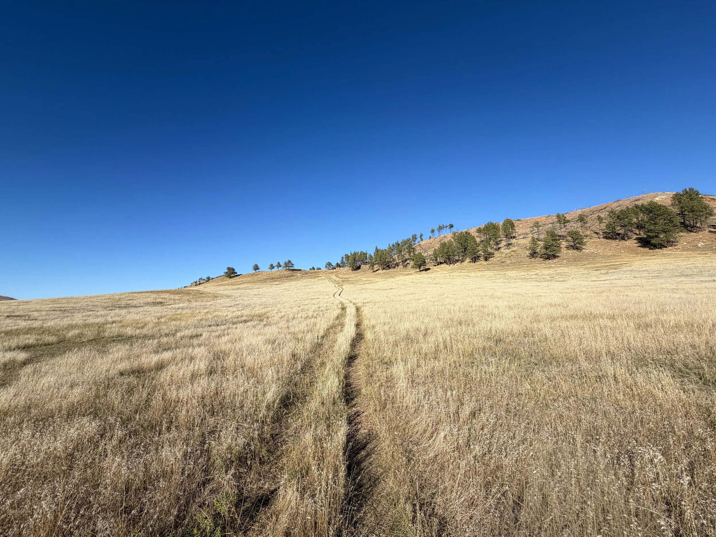 Boland Ridge Trail Wind Cave National Park South Dakota