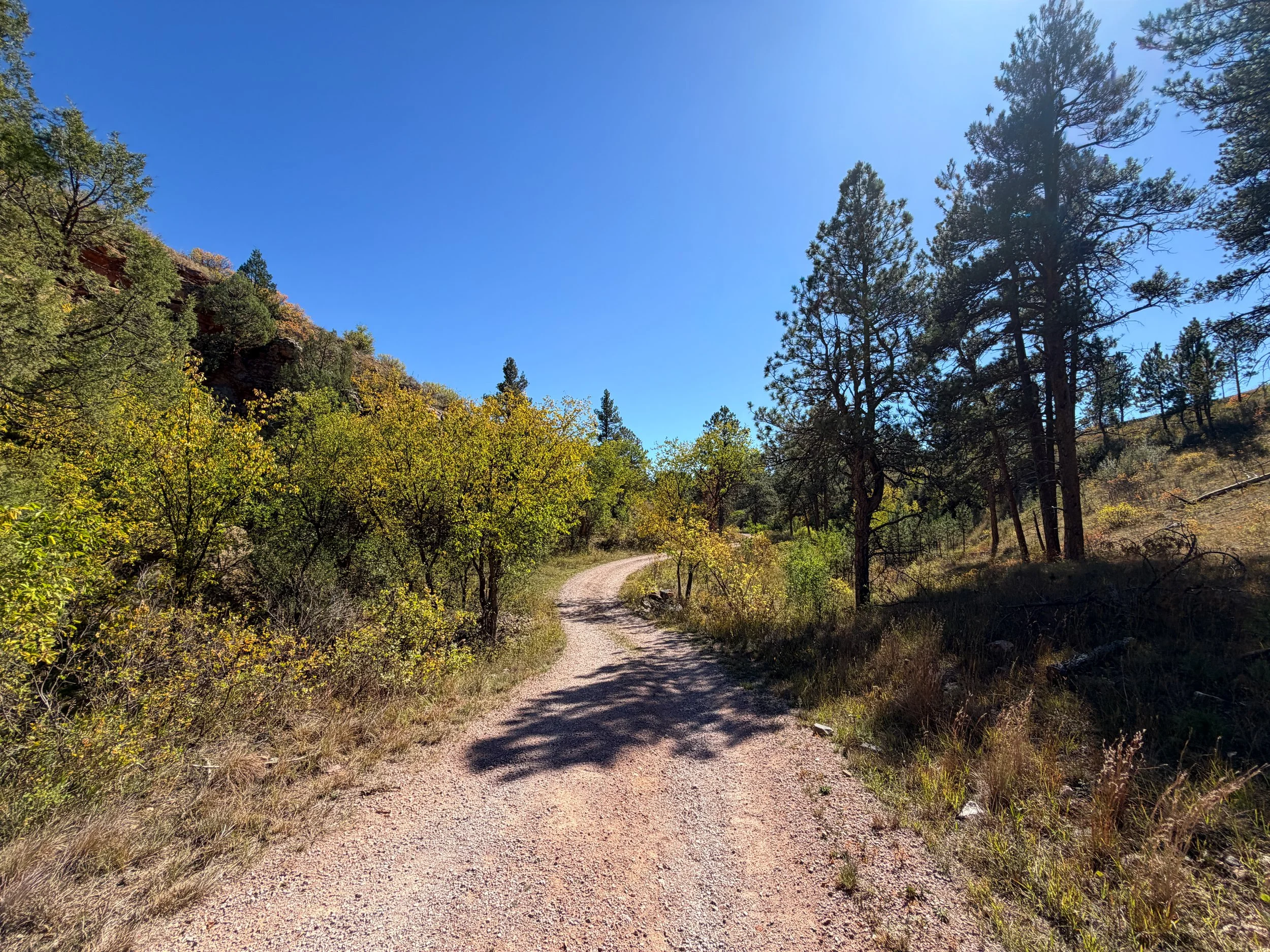 Wind Cave Canyon Trail Wind Cave National Park South Dakota