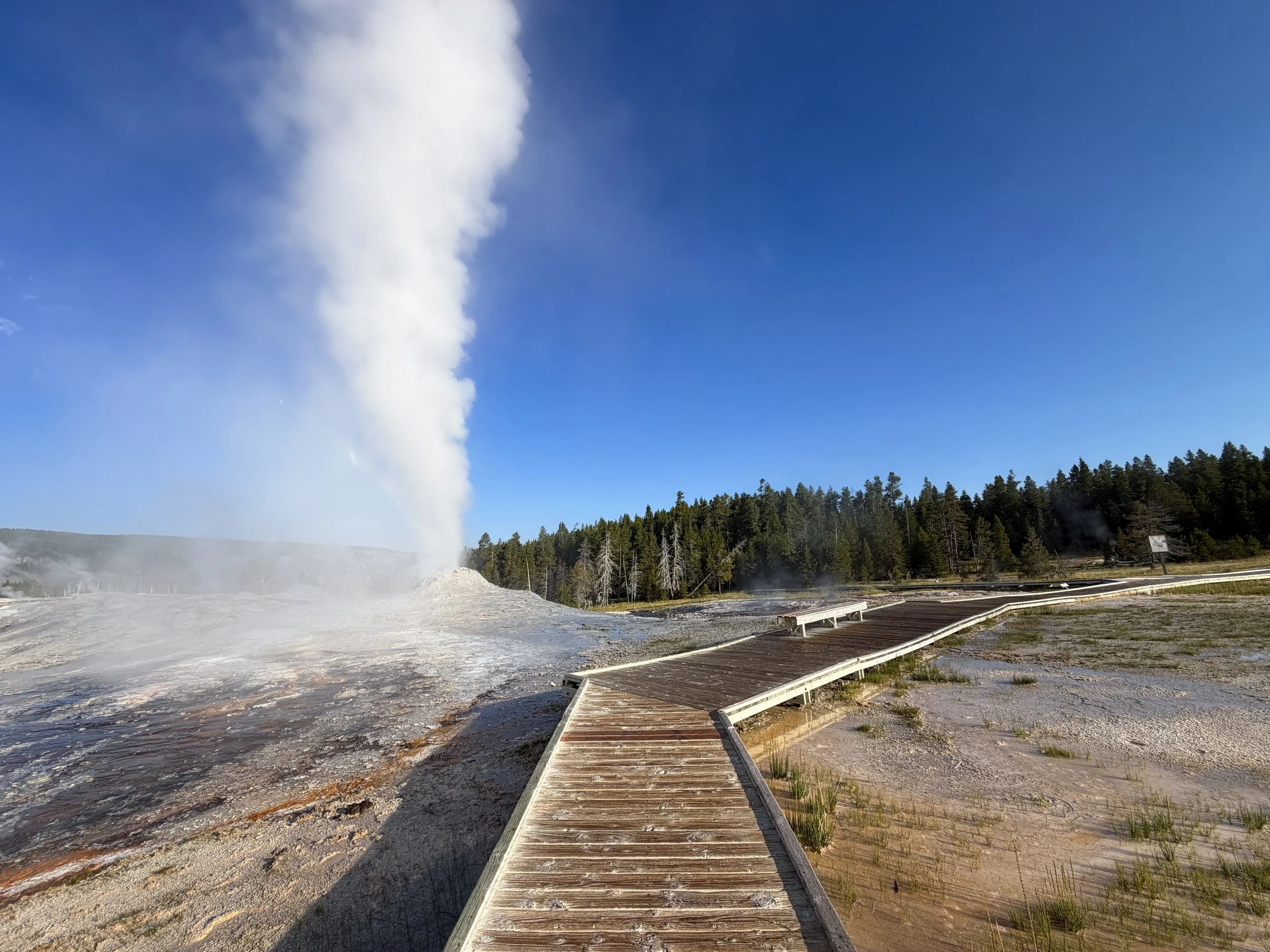 Lion Geyser Yellowstone National Park Wyoming