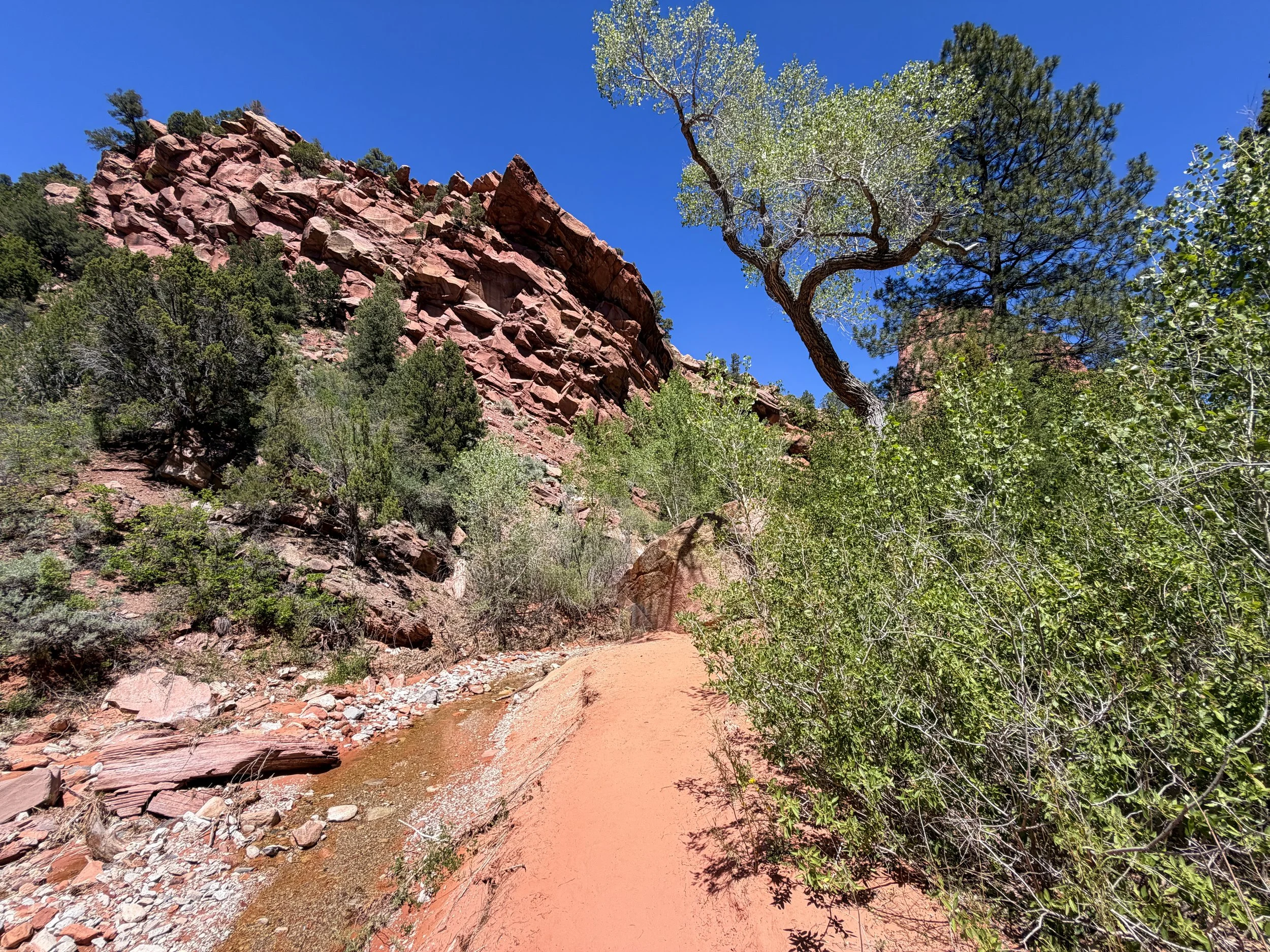 Middle Taylor Creek Trail Zion National Park Utah