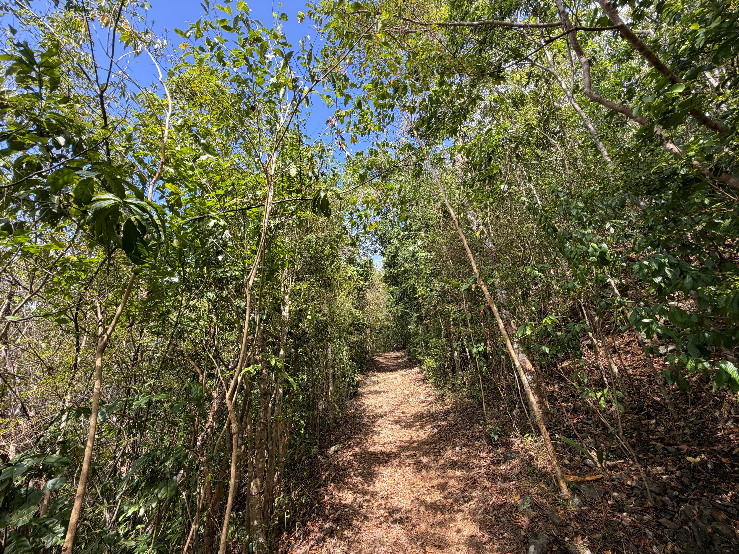 America Hill Trail Virgin Islands National Park