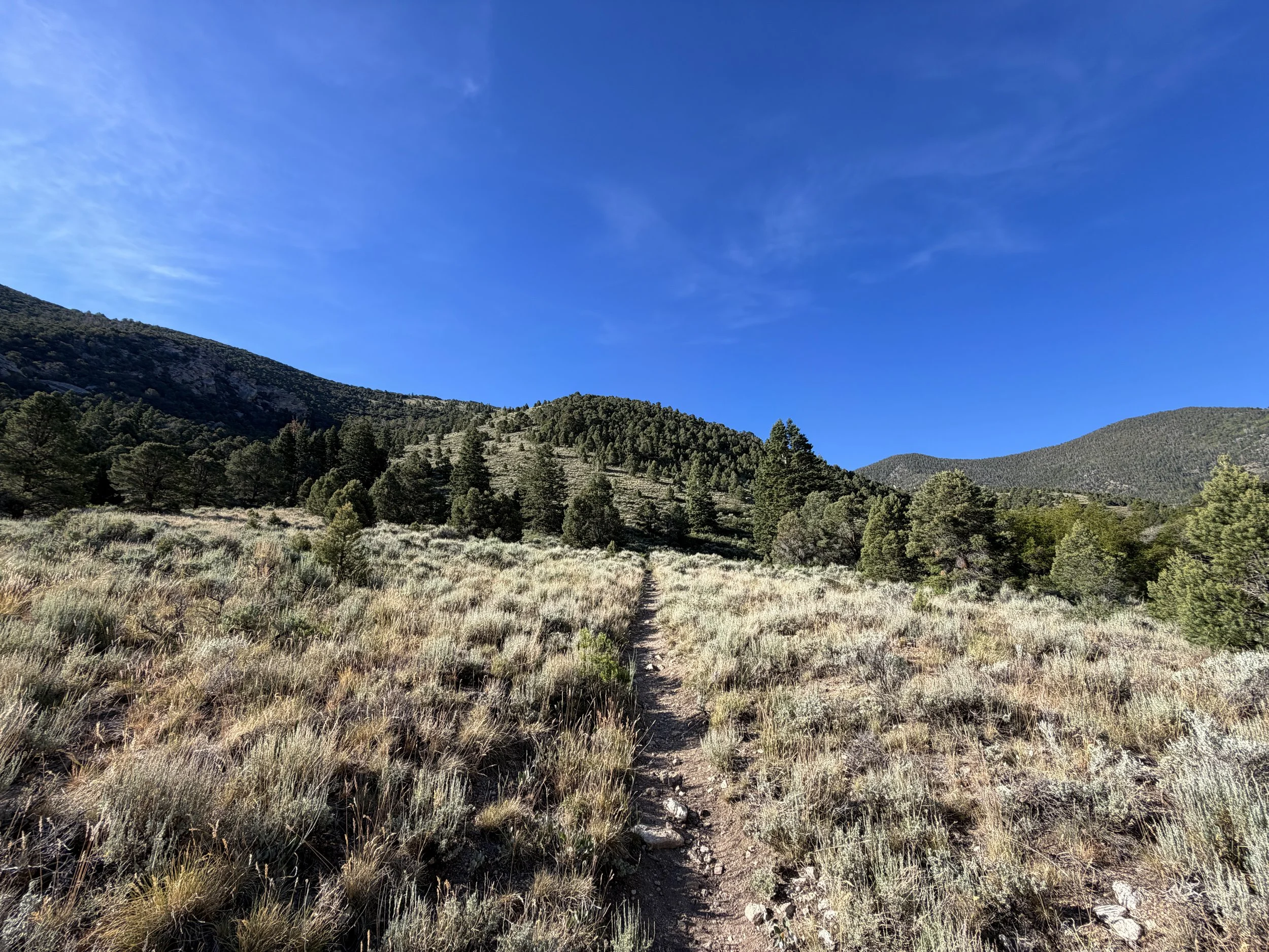 Pole Canyon Loop Trail Great Basin National Park Nevada