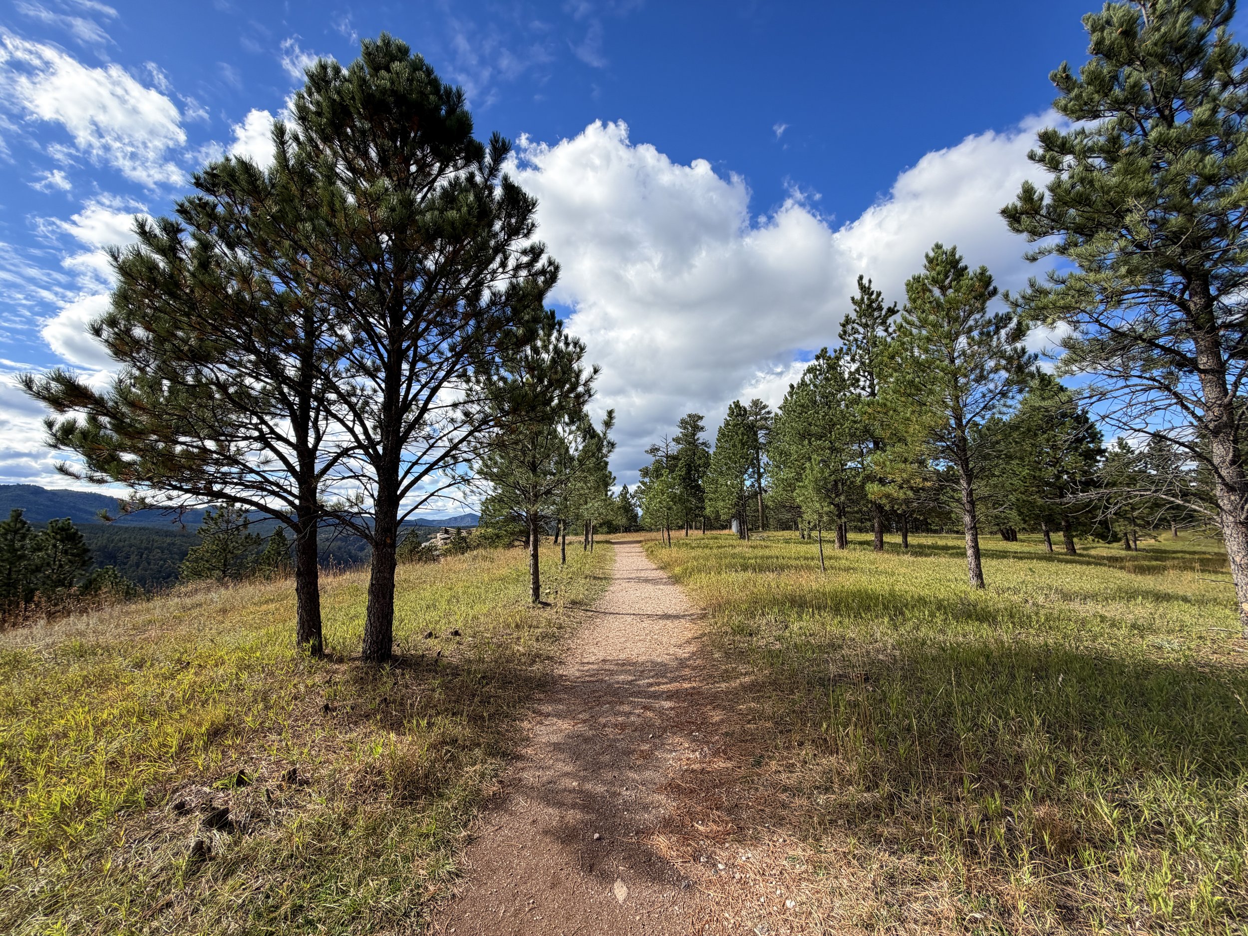 Stratosphere Bowl Rim Trail Black Hills South Dakota