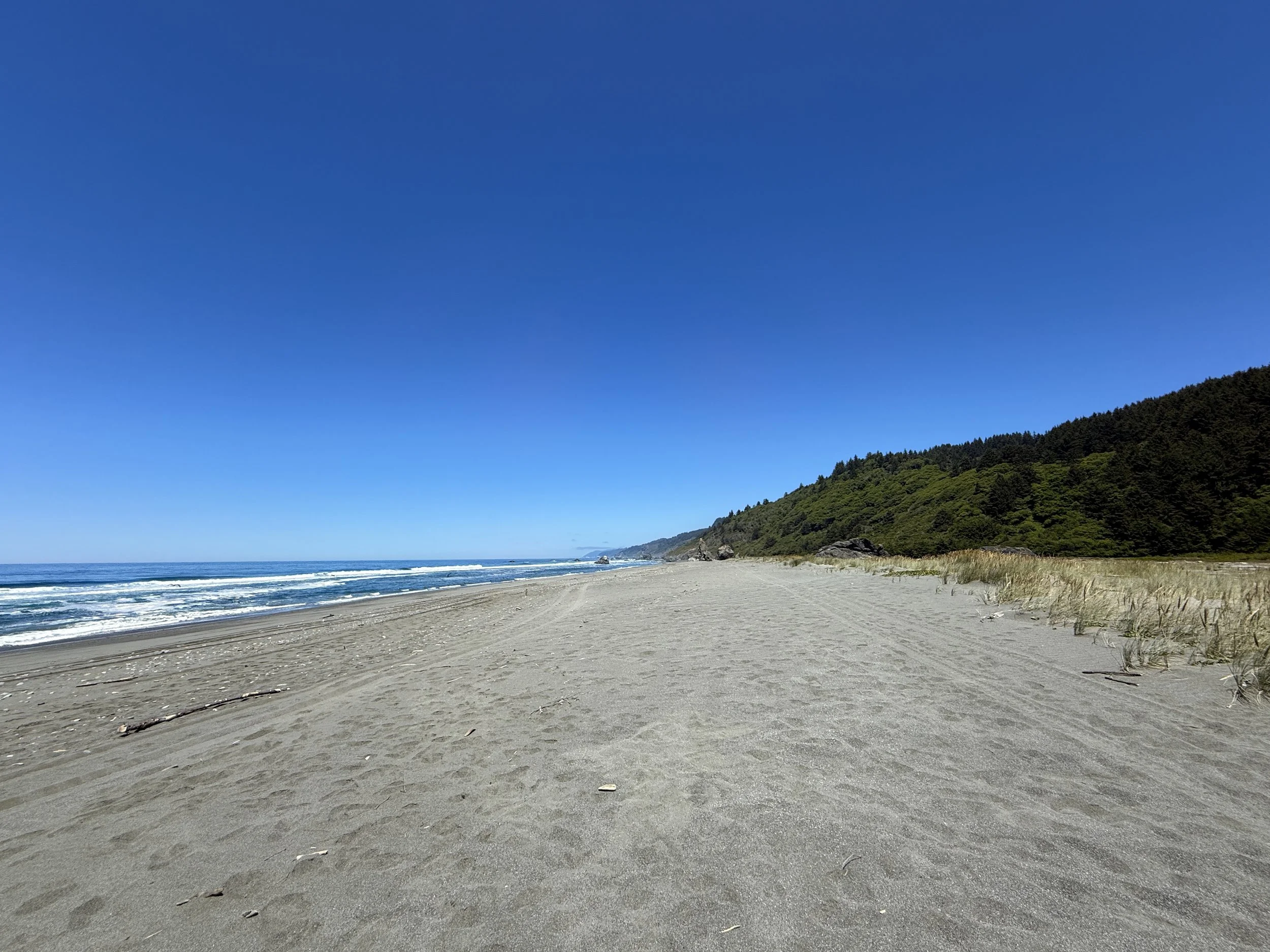 Gold Bluffs Beach Ossagon Trail Prairie Creek Redwoods State Park California