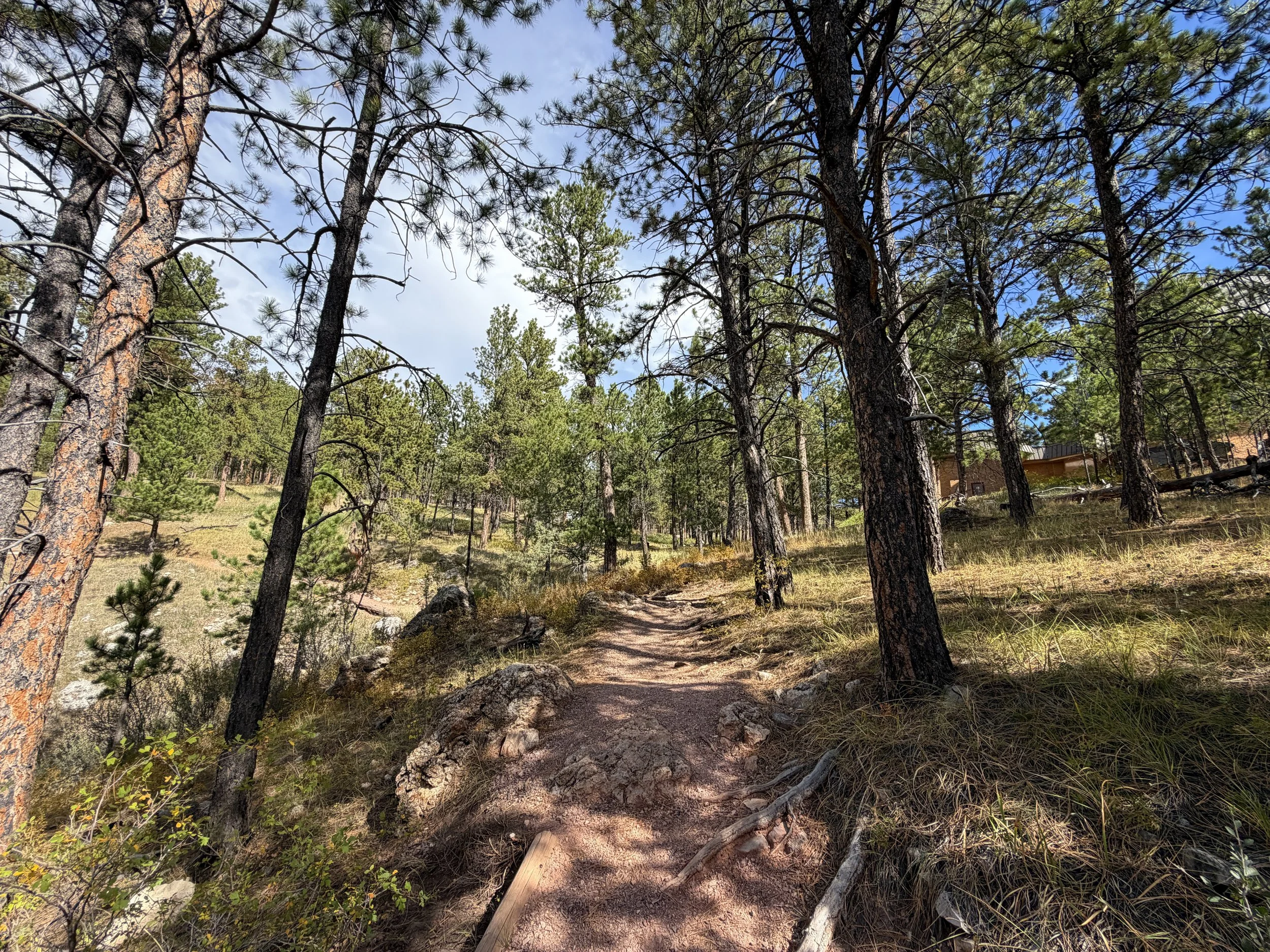 Roof Loop Trail Jewel Cave National Monument Black Hills South Dakota