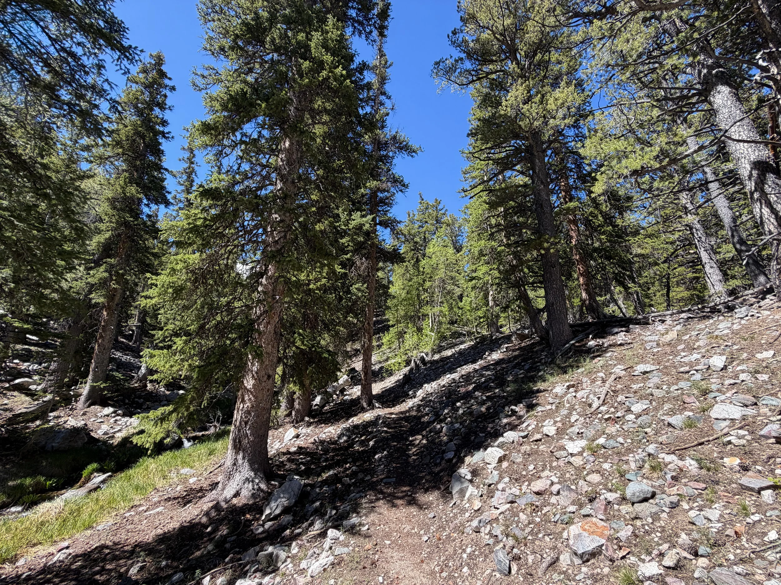 Baker Lake Trail Great Basin National Park Nevada