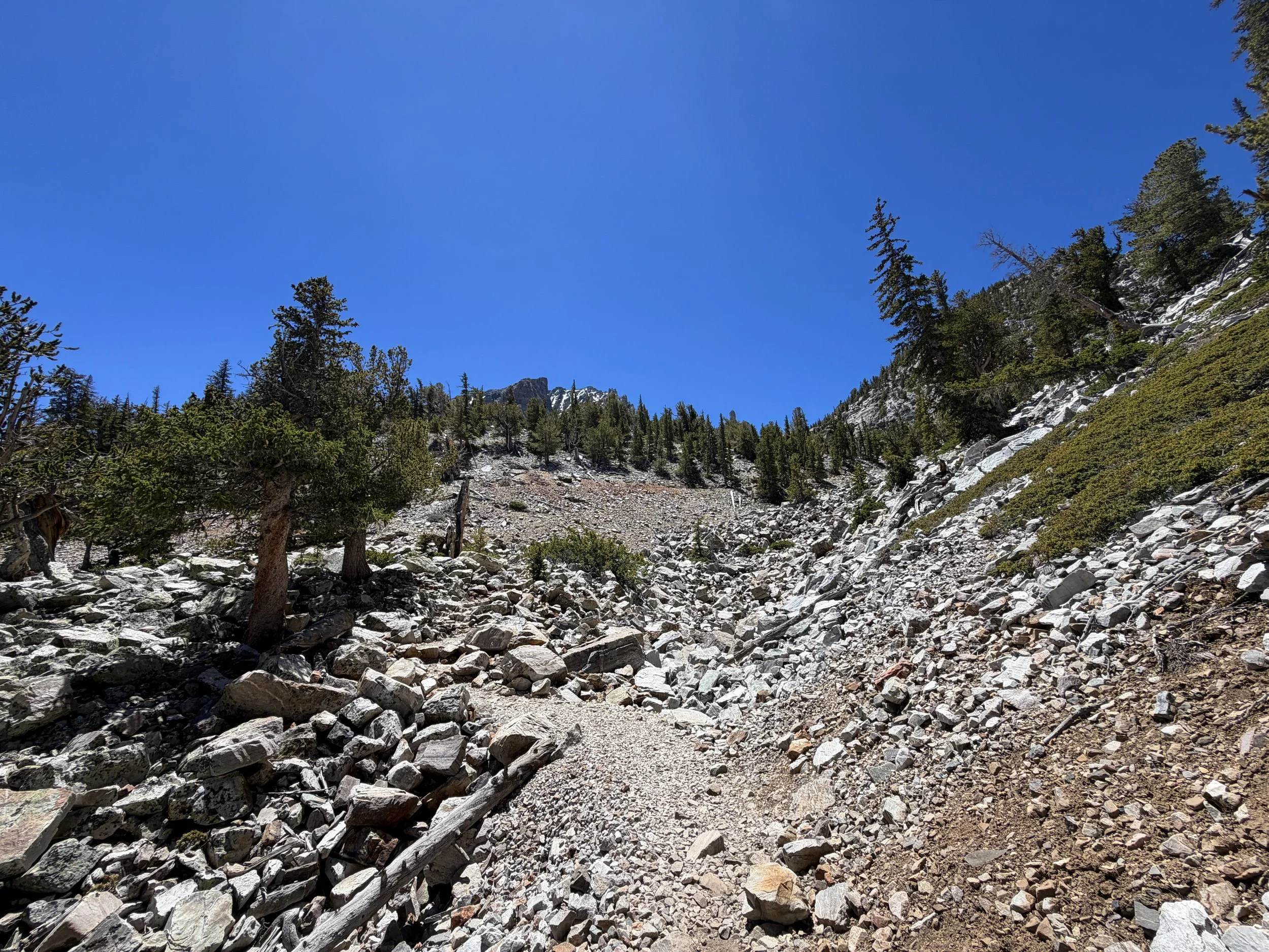 Bristlecone Pine Hike Great Basin National Park Nevada