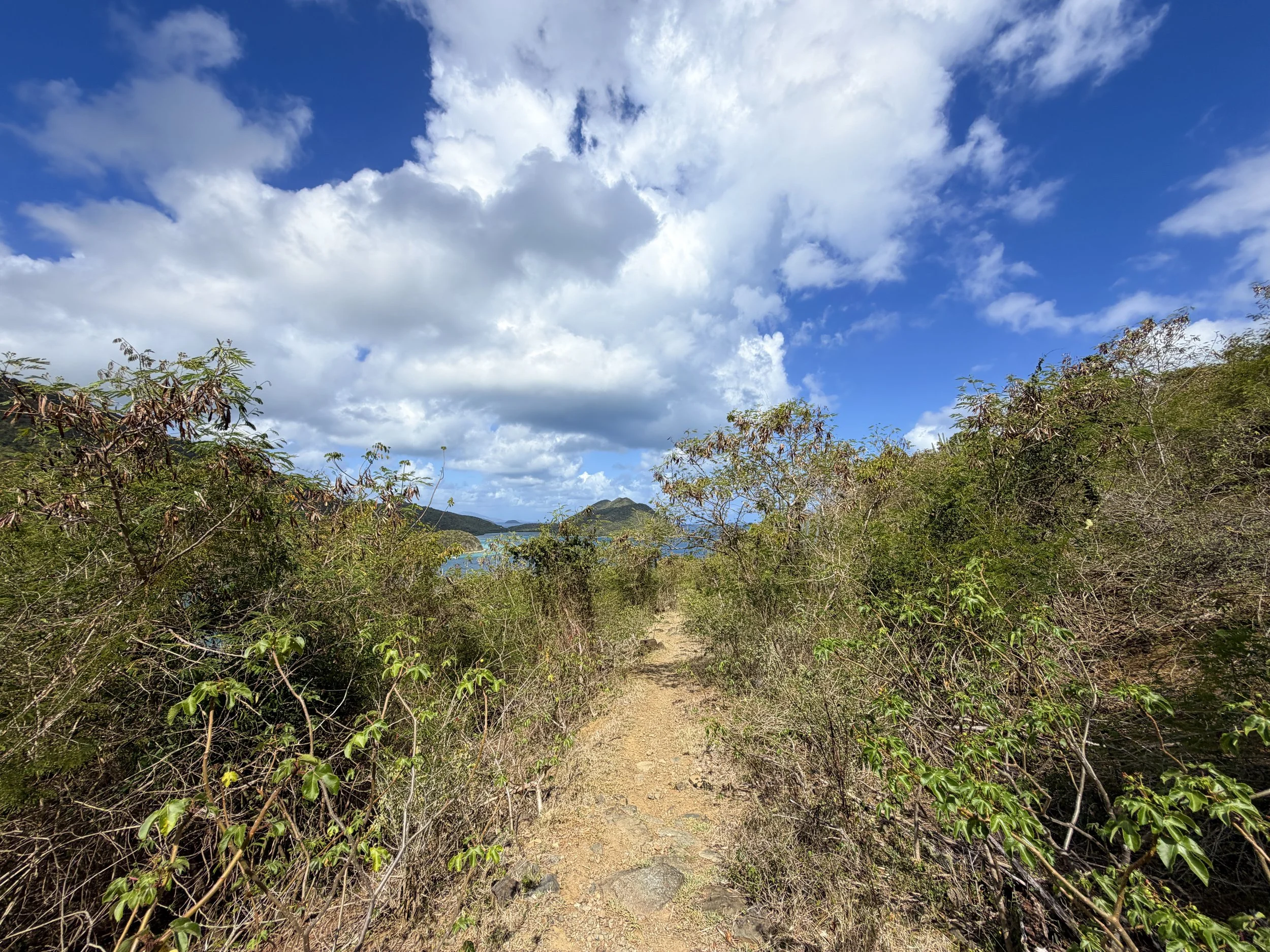 Johnny Horn Trail to Waterlemon Bay Virgin Islands National Park