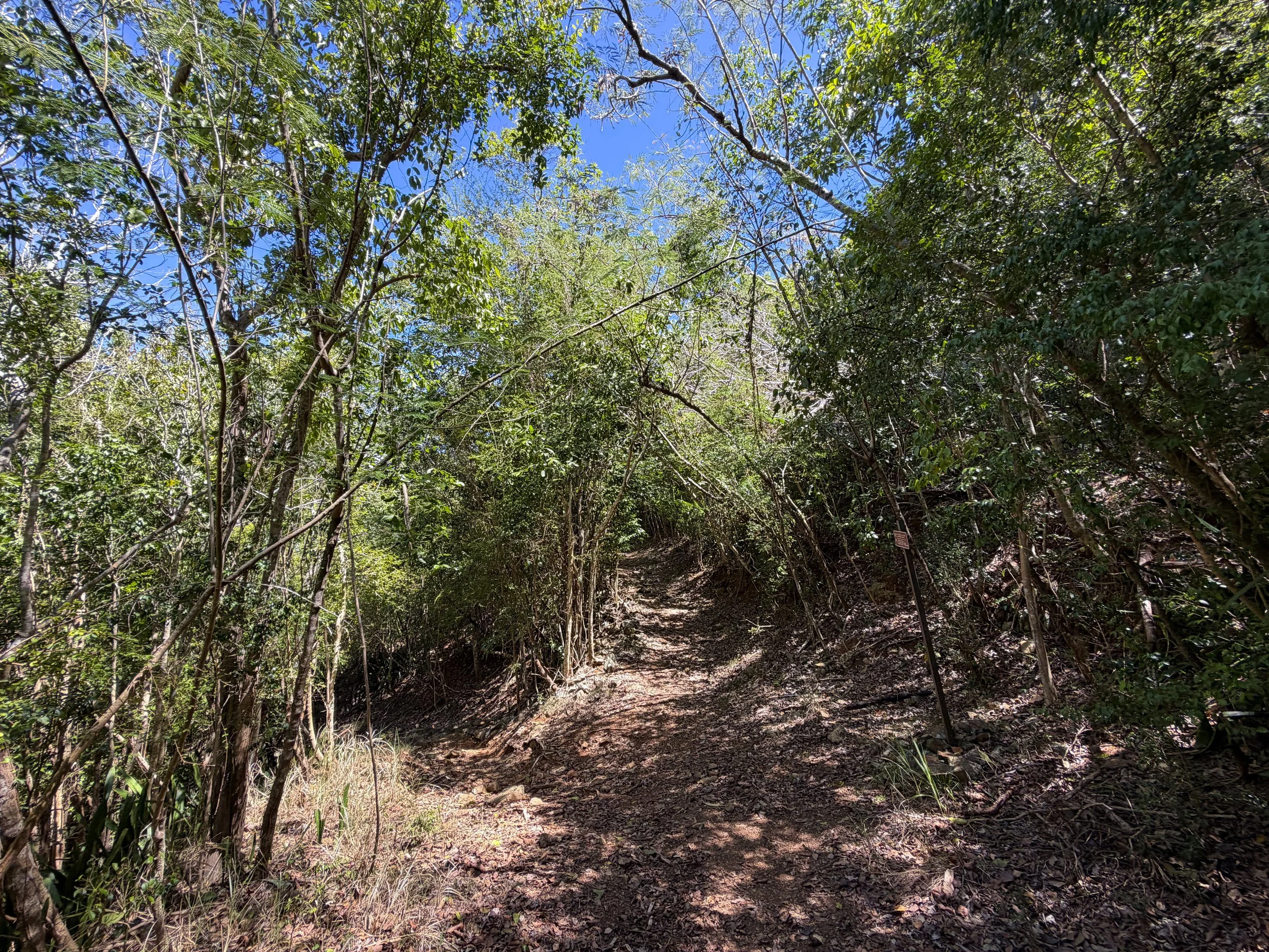 Lameshur Bay Trail to Reef Bay Great House Virgin Islands National Park