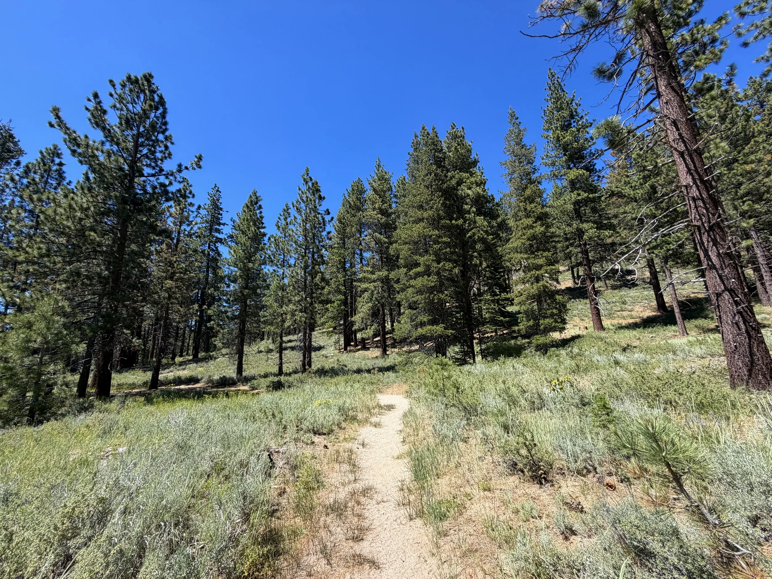 Spooner Lake Loop Hike Lake Tahoe Nevada
