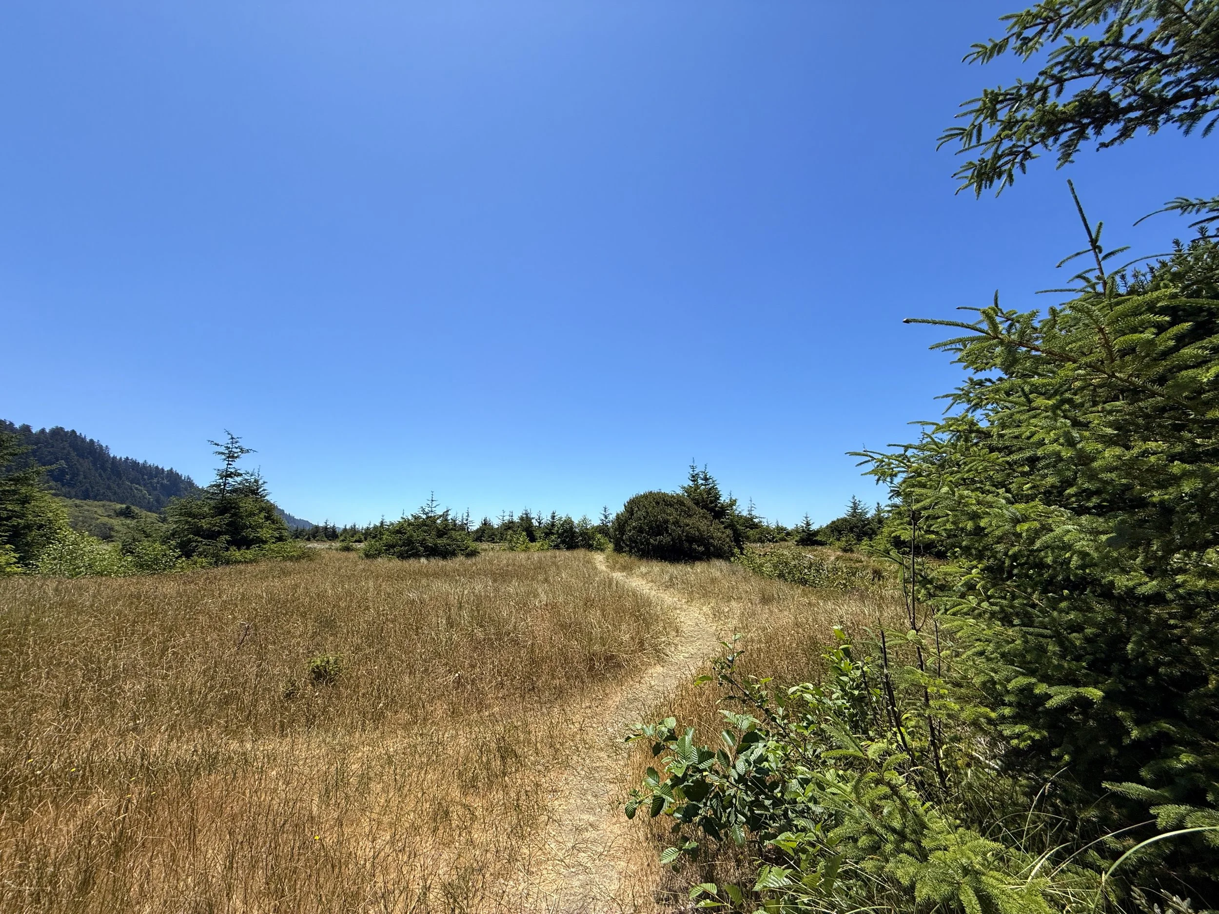 Ossagon Trail Prairie Creek Redwoods State Park California