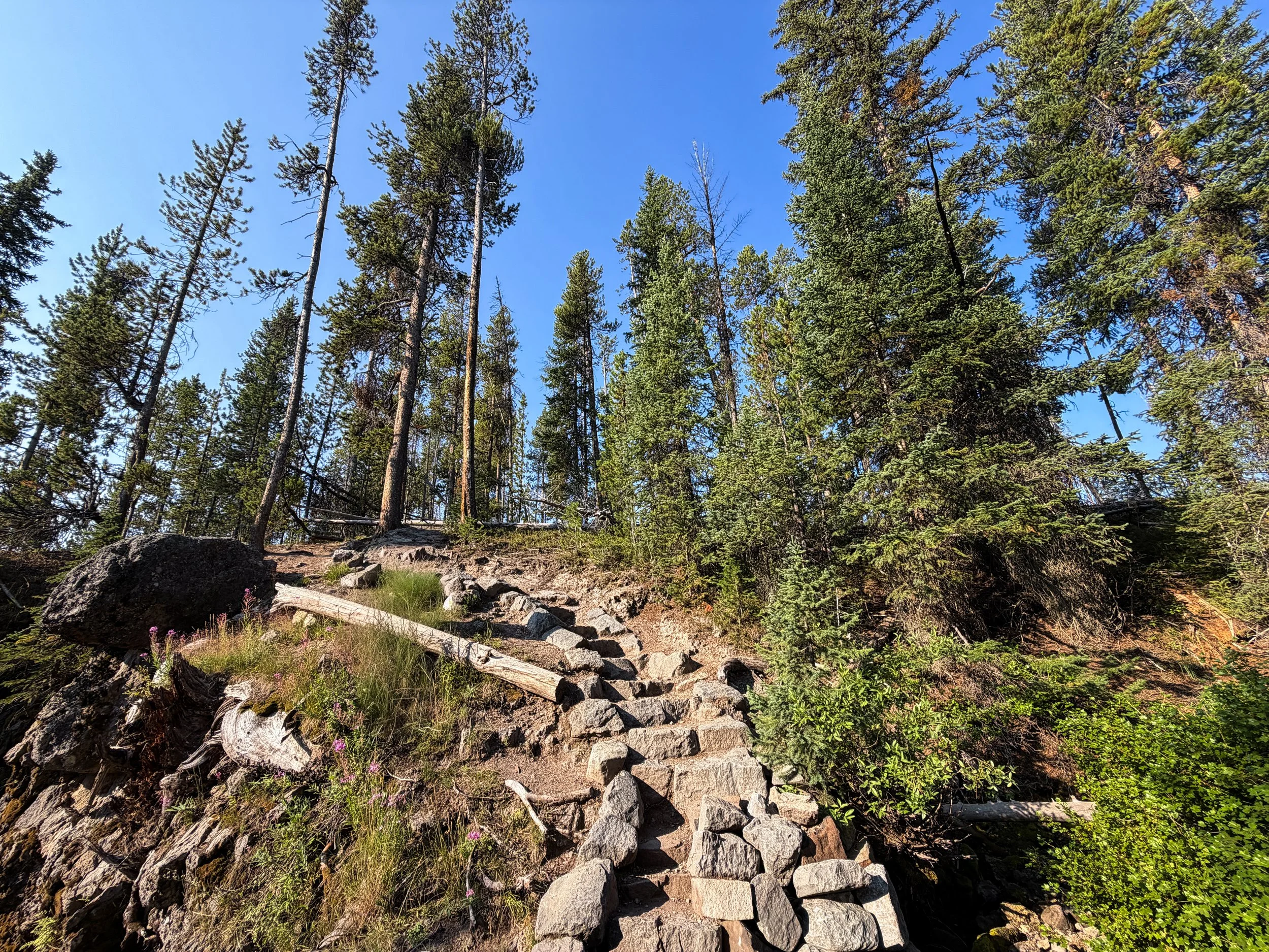 Natural Bridge Trail Yellowstone National Park Wyoming