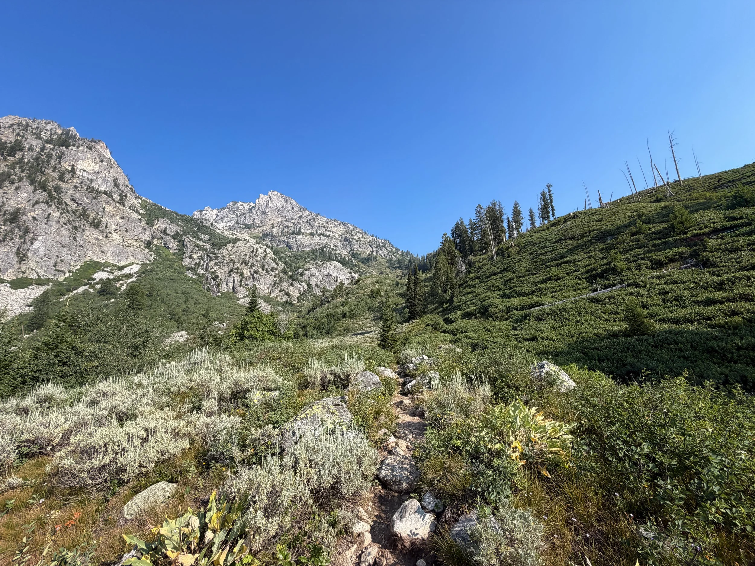 Lake of the Crags Trail Grand Teton National Park Wyoming