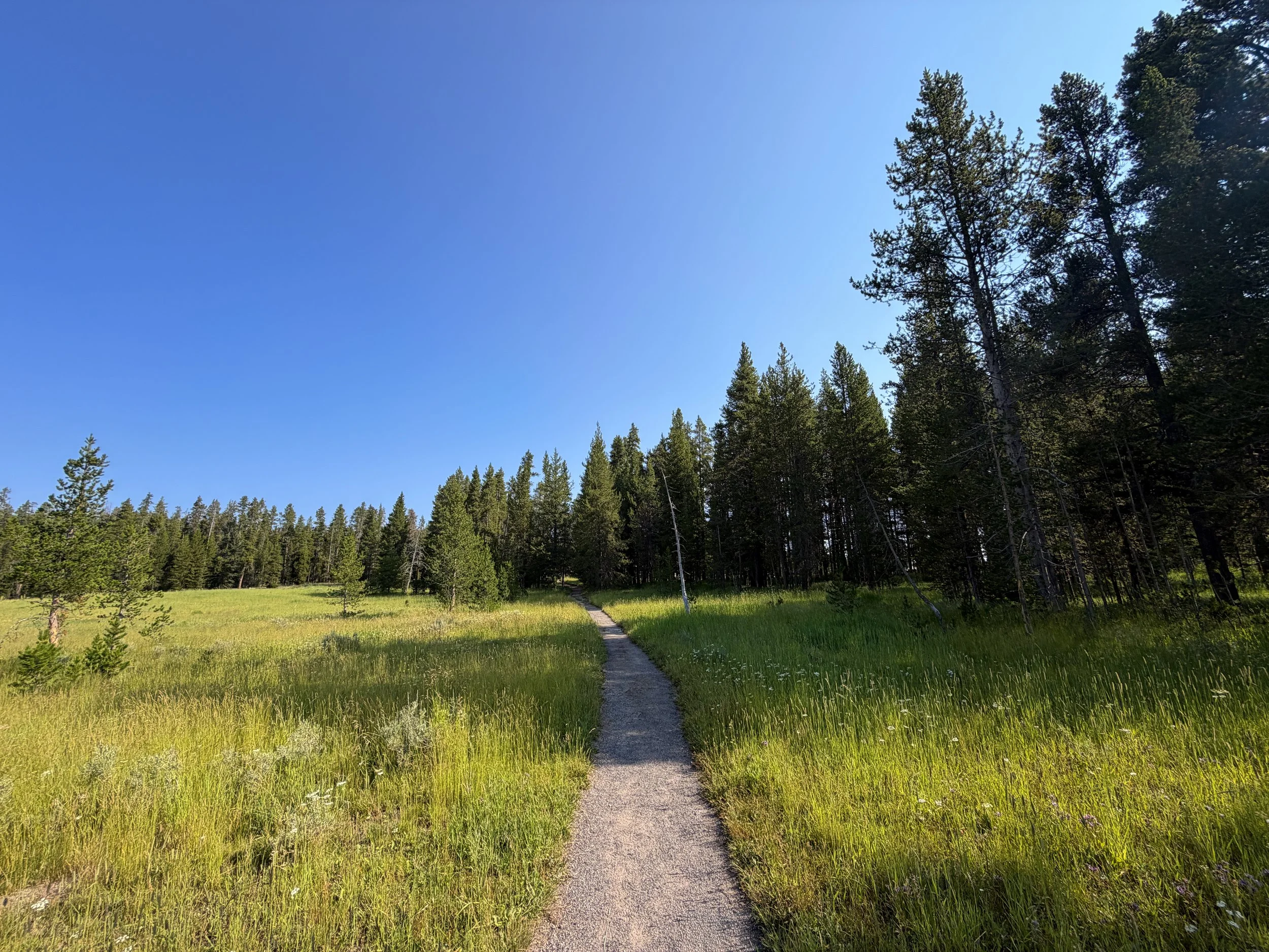 Natural Bridge Trail Yellowstone National Park Wyoming