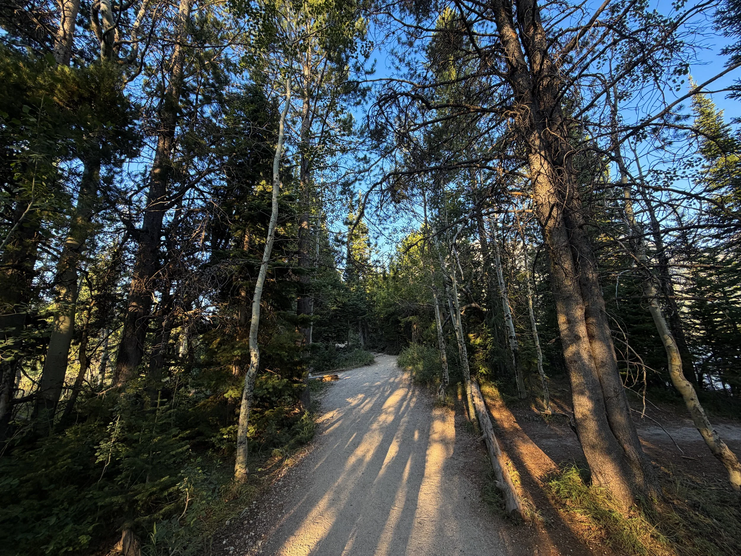 Hidden Falls Trail via Jenny Lake Grand Teton National Park Wyoming