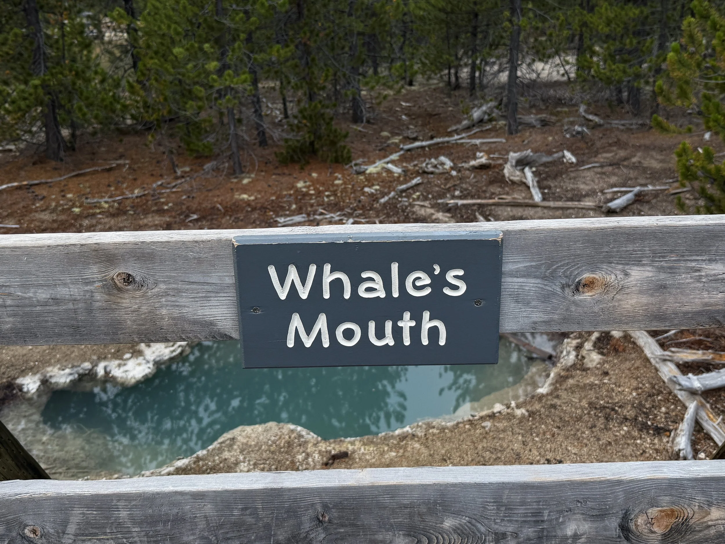 Whales Mouth Norris Geyser Basin Trail Yellowstone National Park Wyoming
