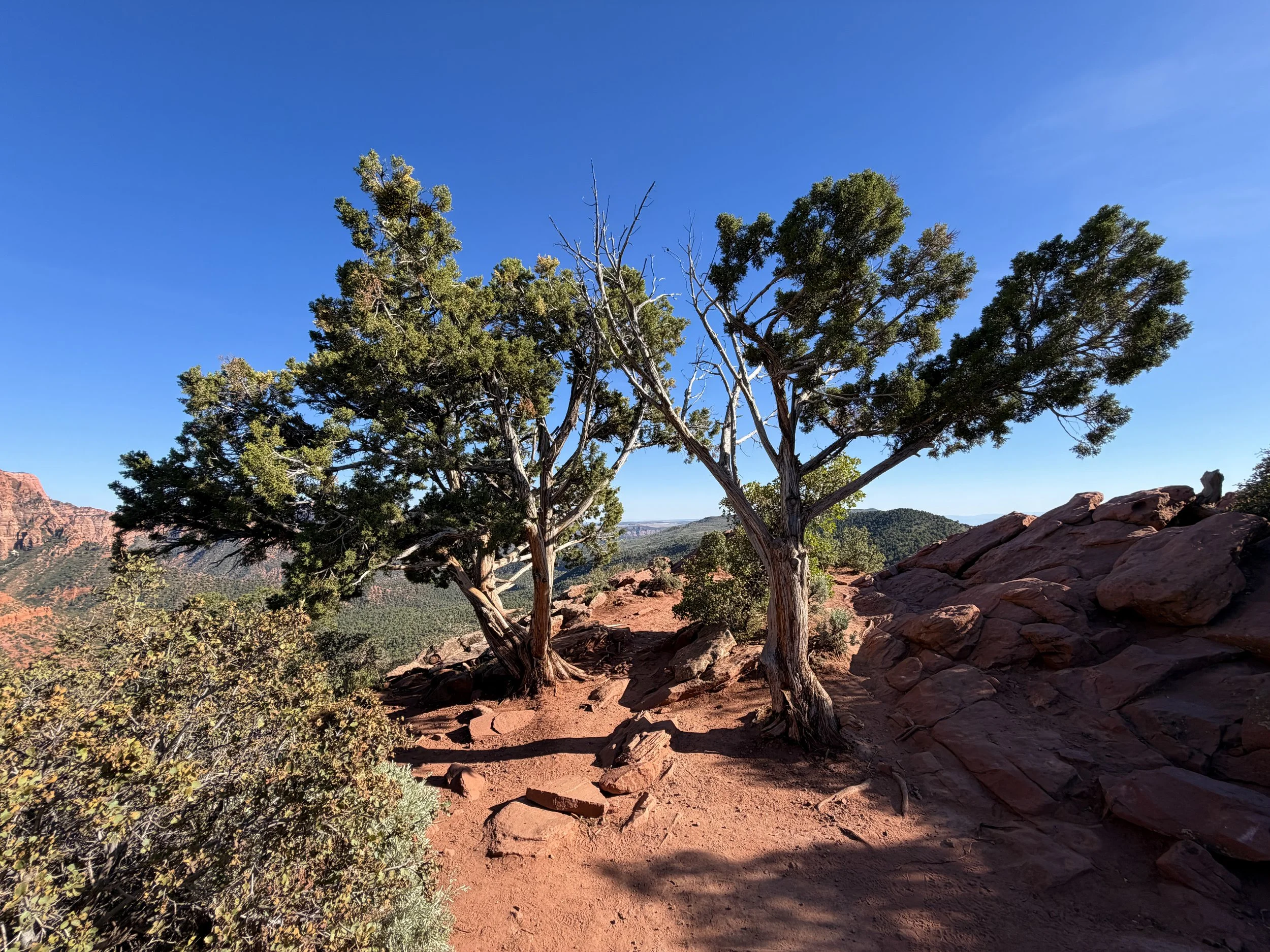 Timber Creek Overlook Trail Zion National Park Utah