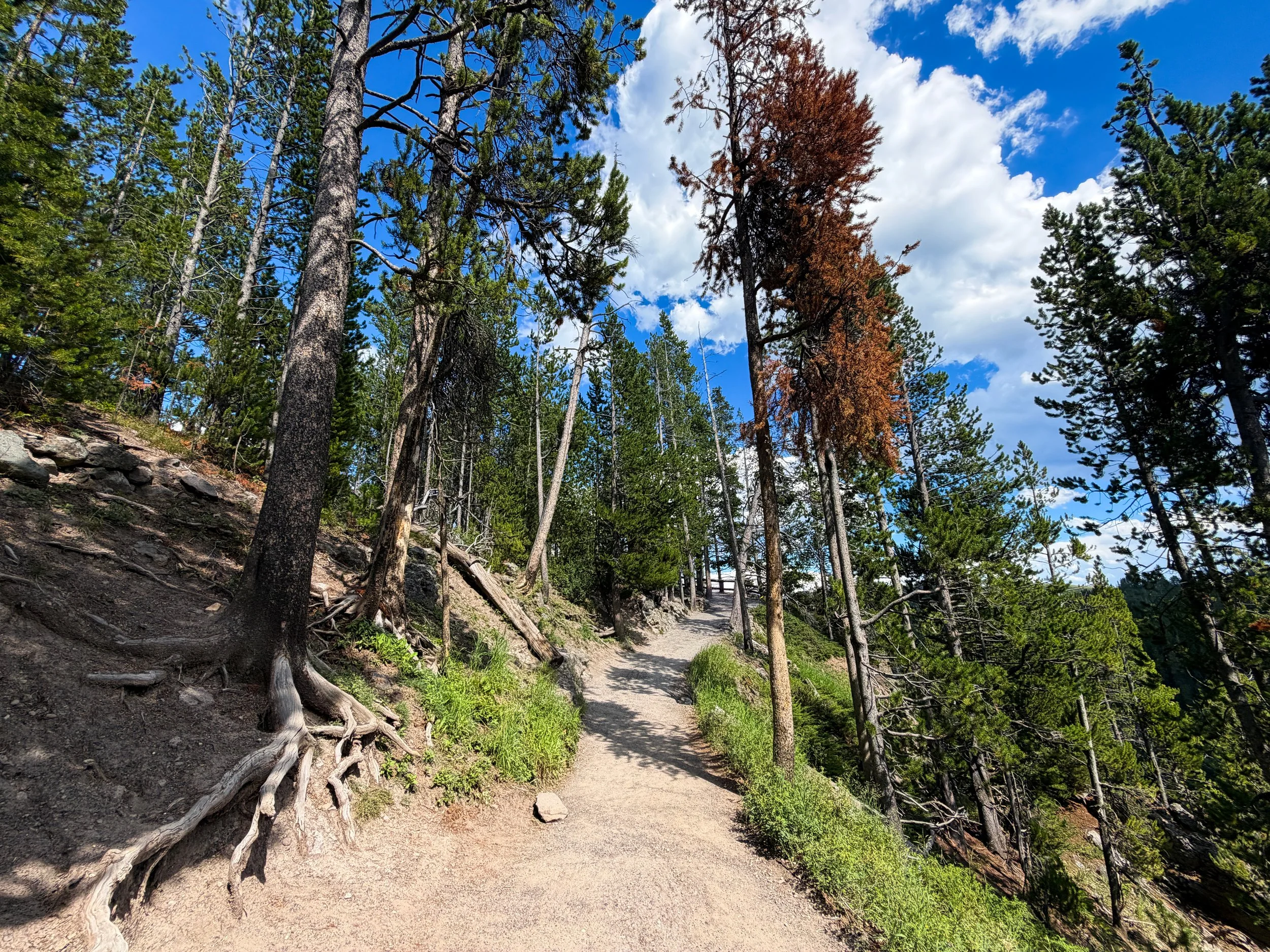 North Rim Hike Yellowstone National Park Wyoming