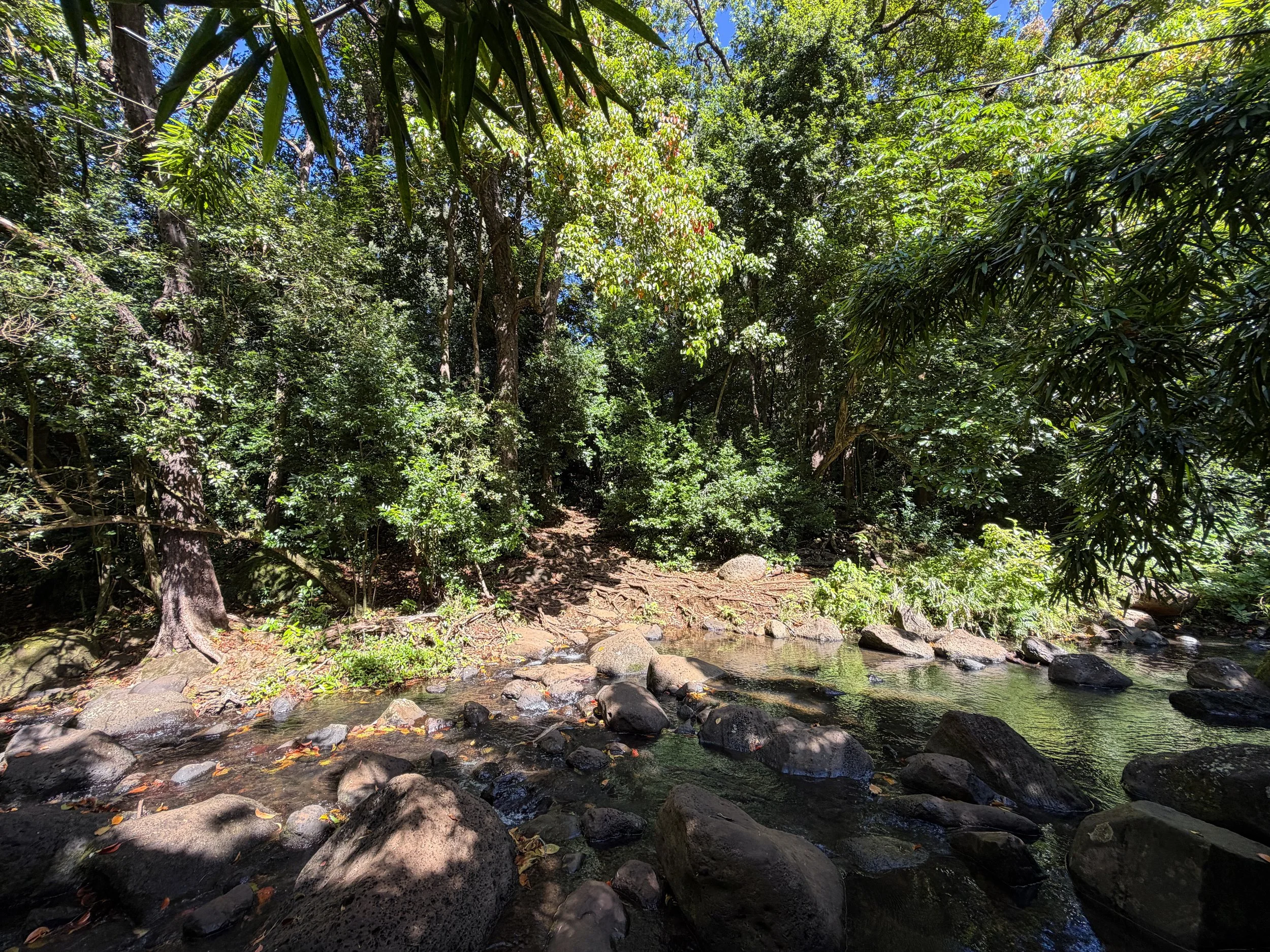 Nuuanu Stream Judd Loop Trail Oahu Hawaii