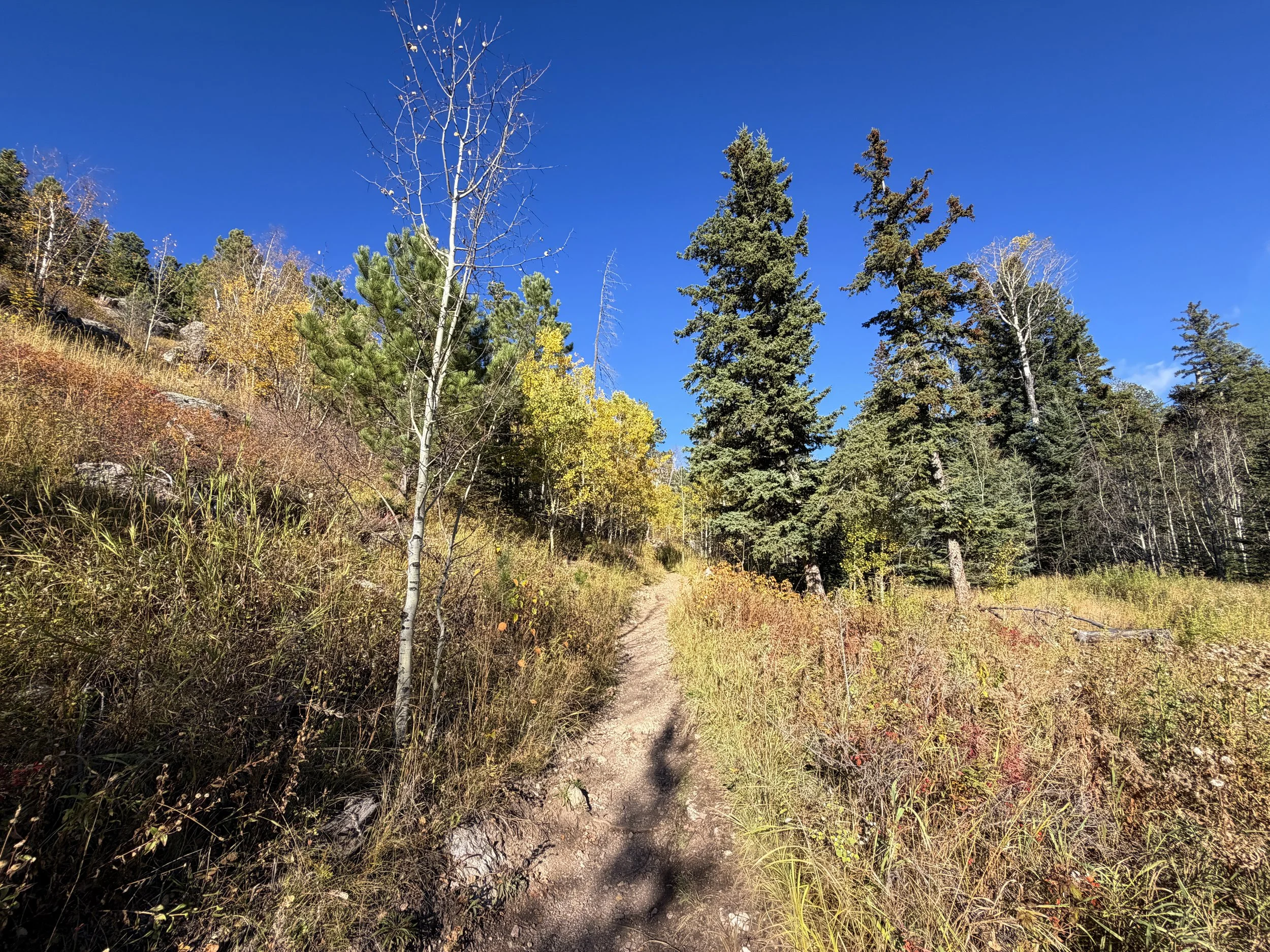 Little Devils Tower Trail Custer State Park Black Hills South Dakota