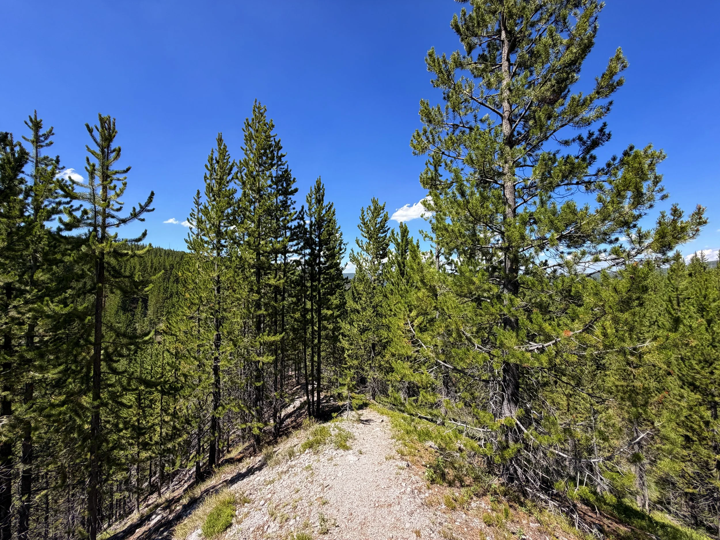 Fern Cascades Trail Yellowstone National Park Wyoming