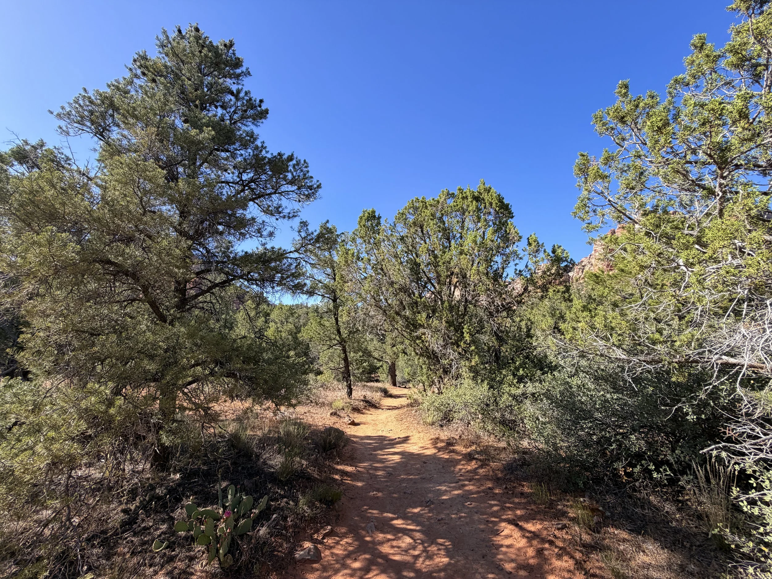 Subway Trail Zion National Park Utah
