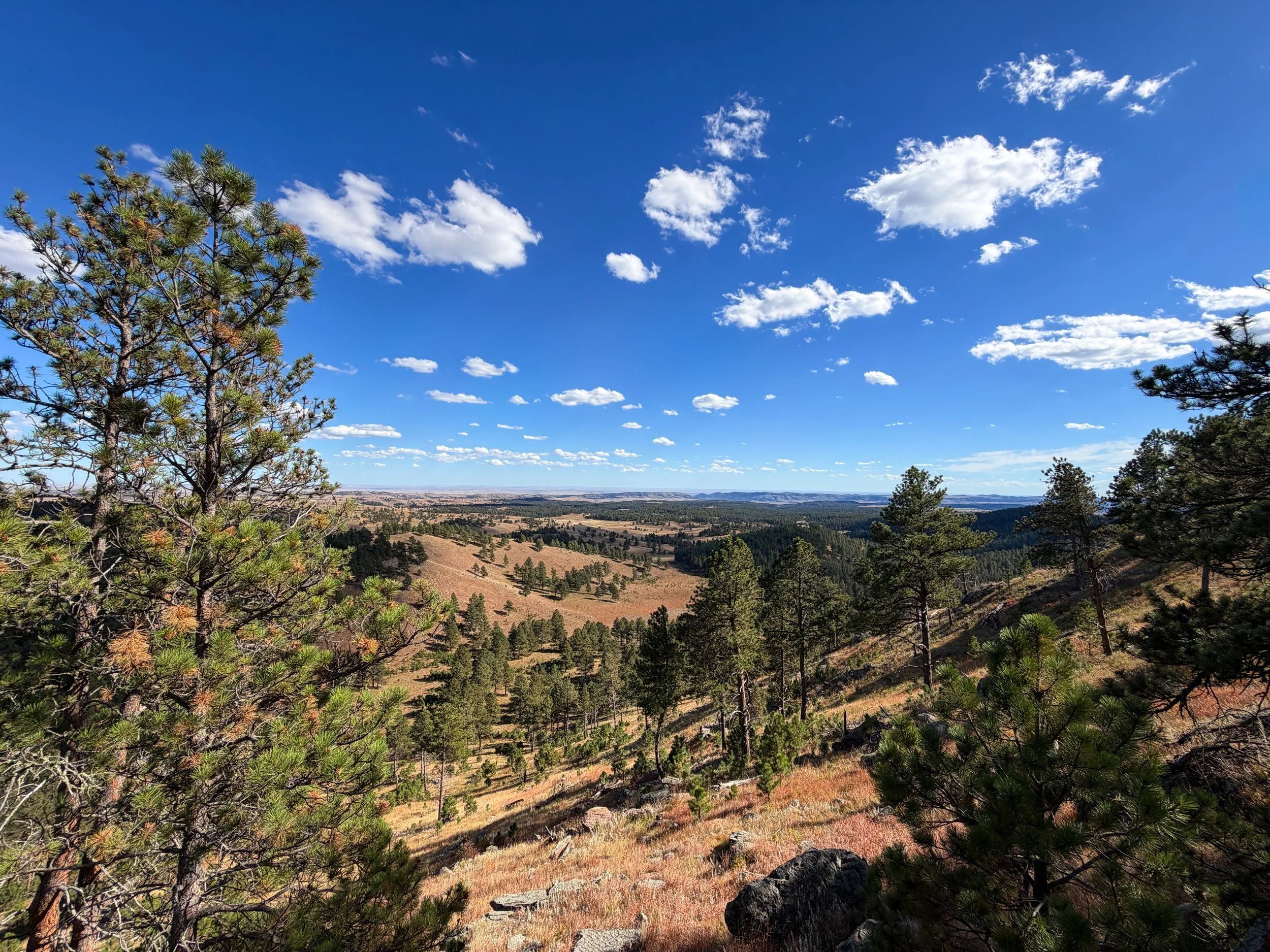 Rankin Ridge Hike Wind Cave National Park South Dakota