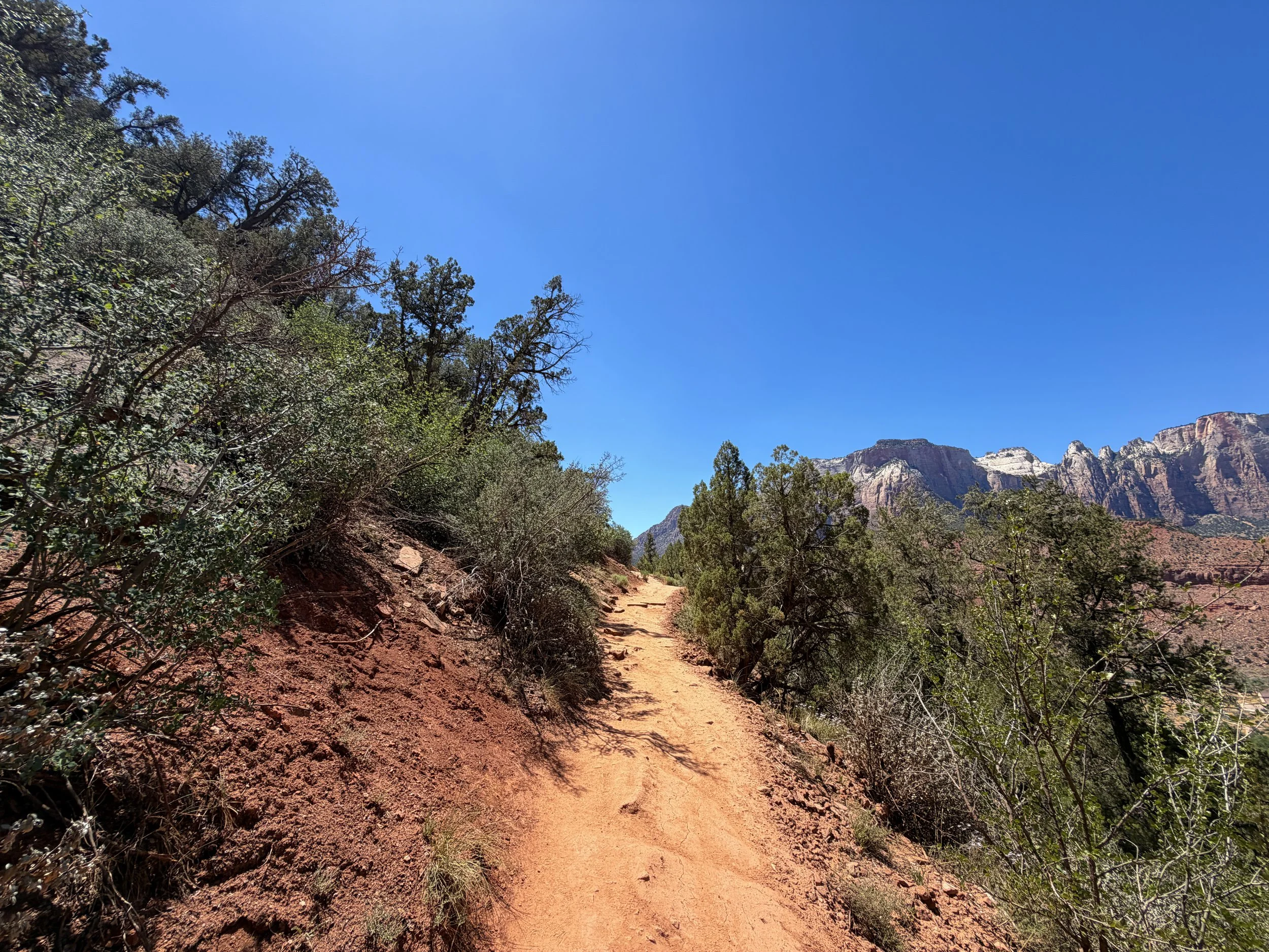 Watchman Trail Zion National Park Utah