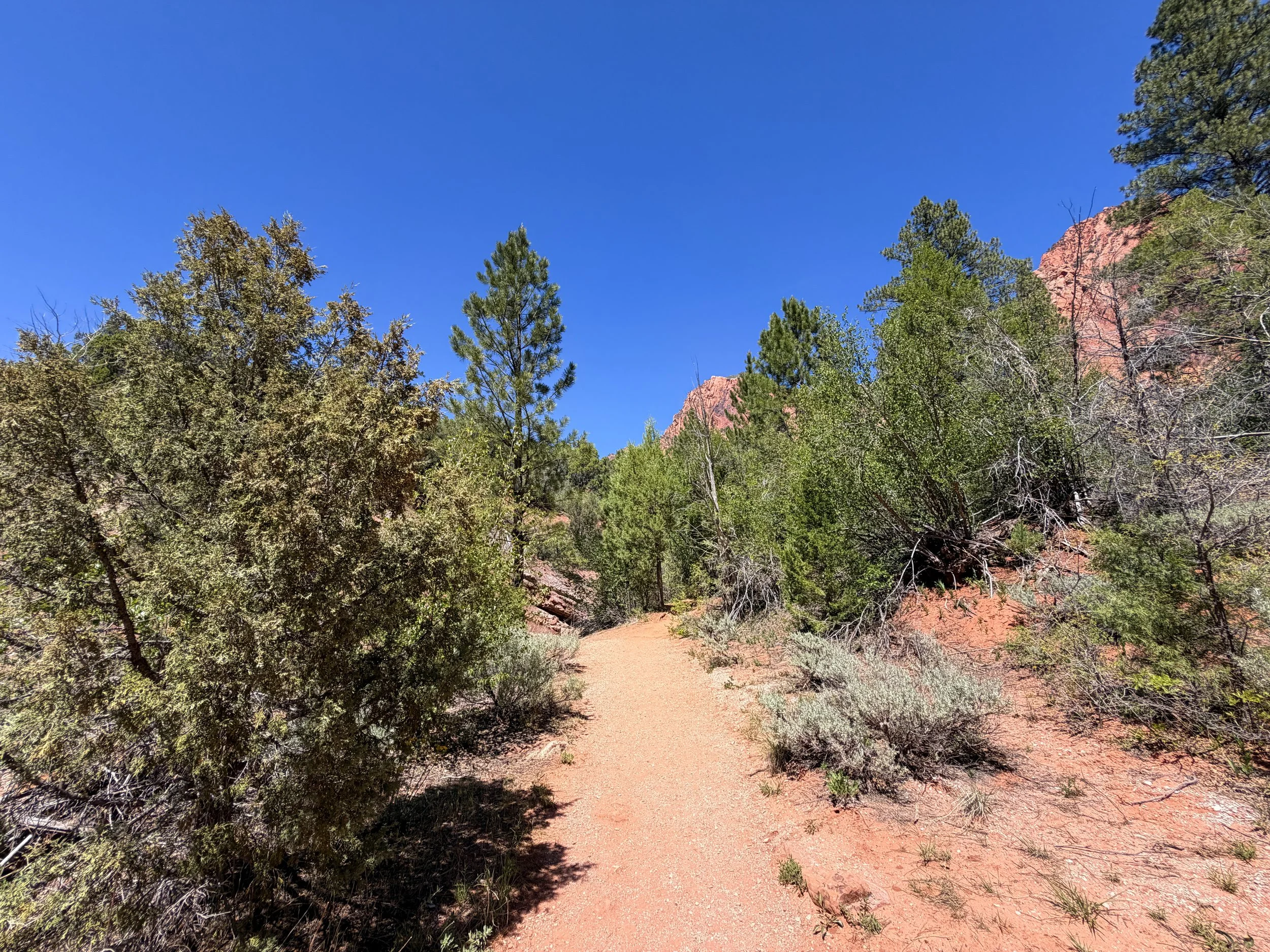 Taylor Creek Trail to Double Arch Alcove Zion National Park Utah