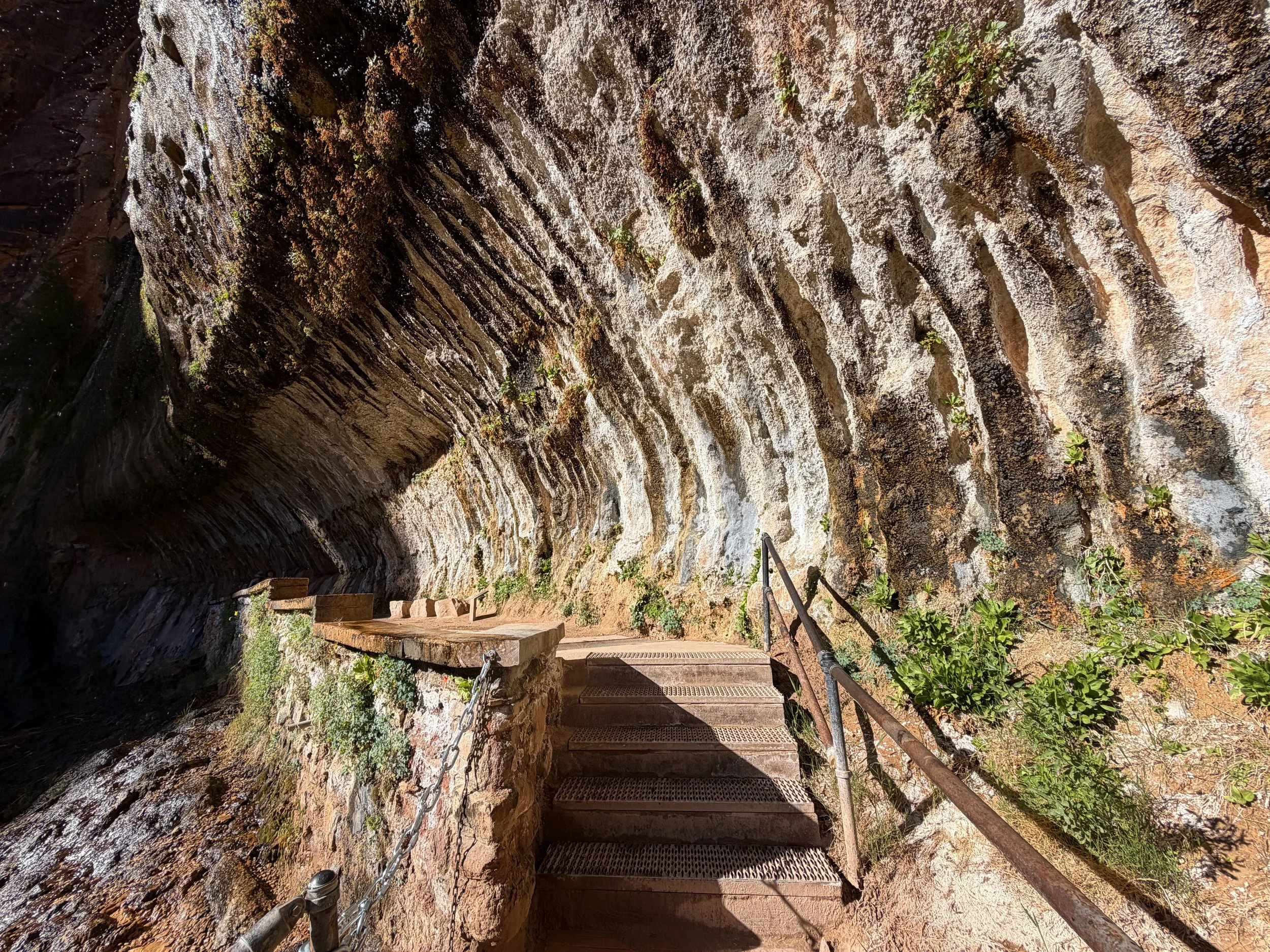 Weeping Rock Zion National Park Utah