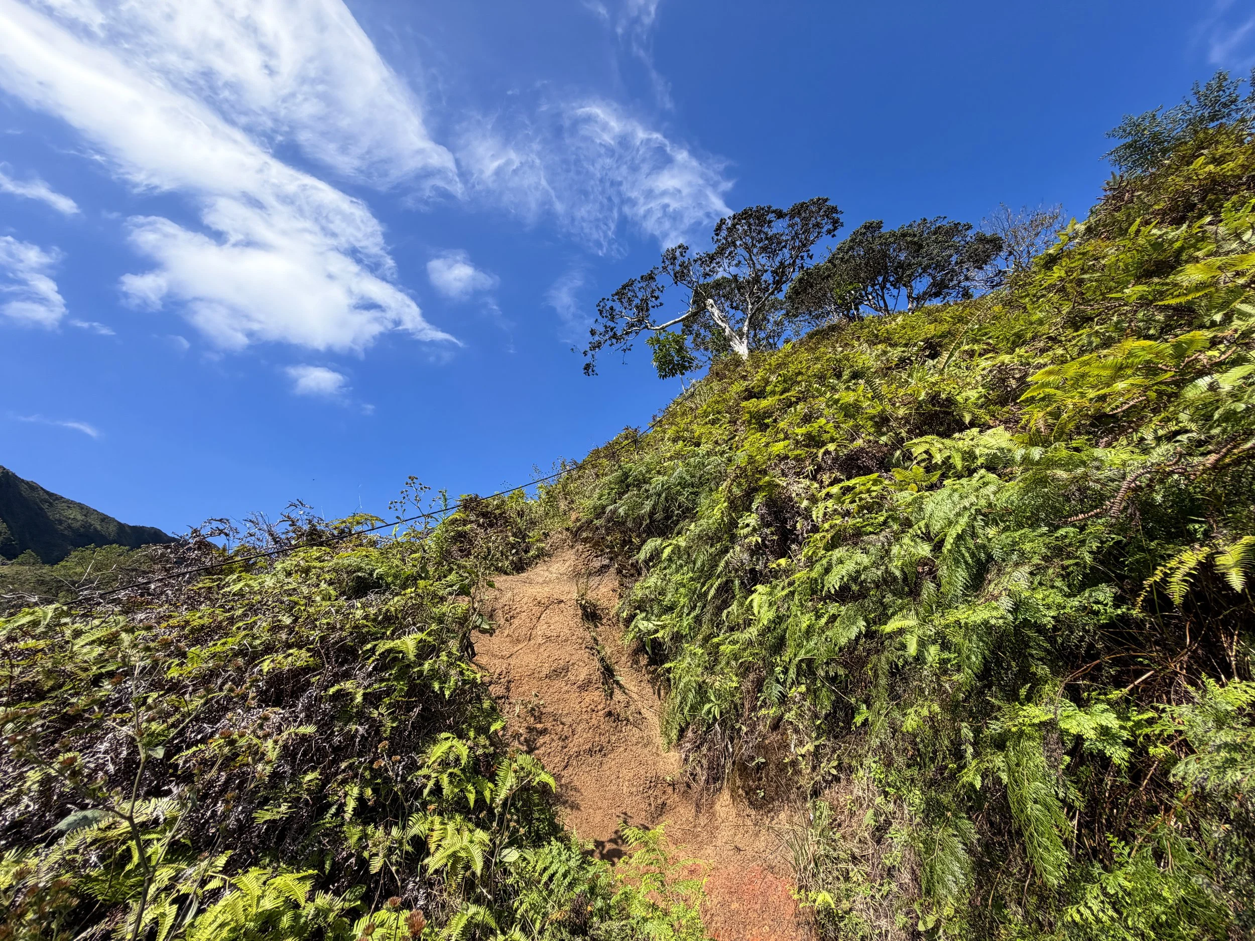 Kulanaahane Trail Ropes Oahu Hawaii