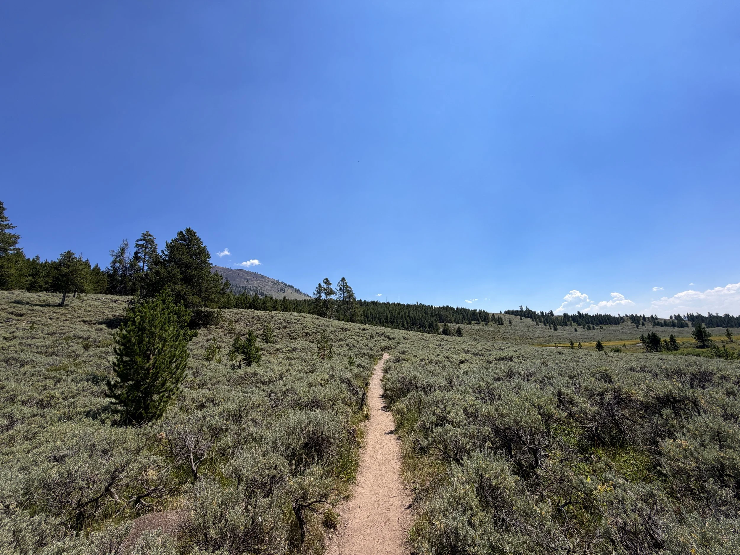 Bunsen Peak Trail Yellowstone National Park Wyoming