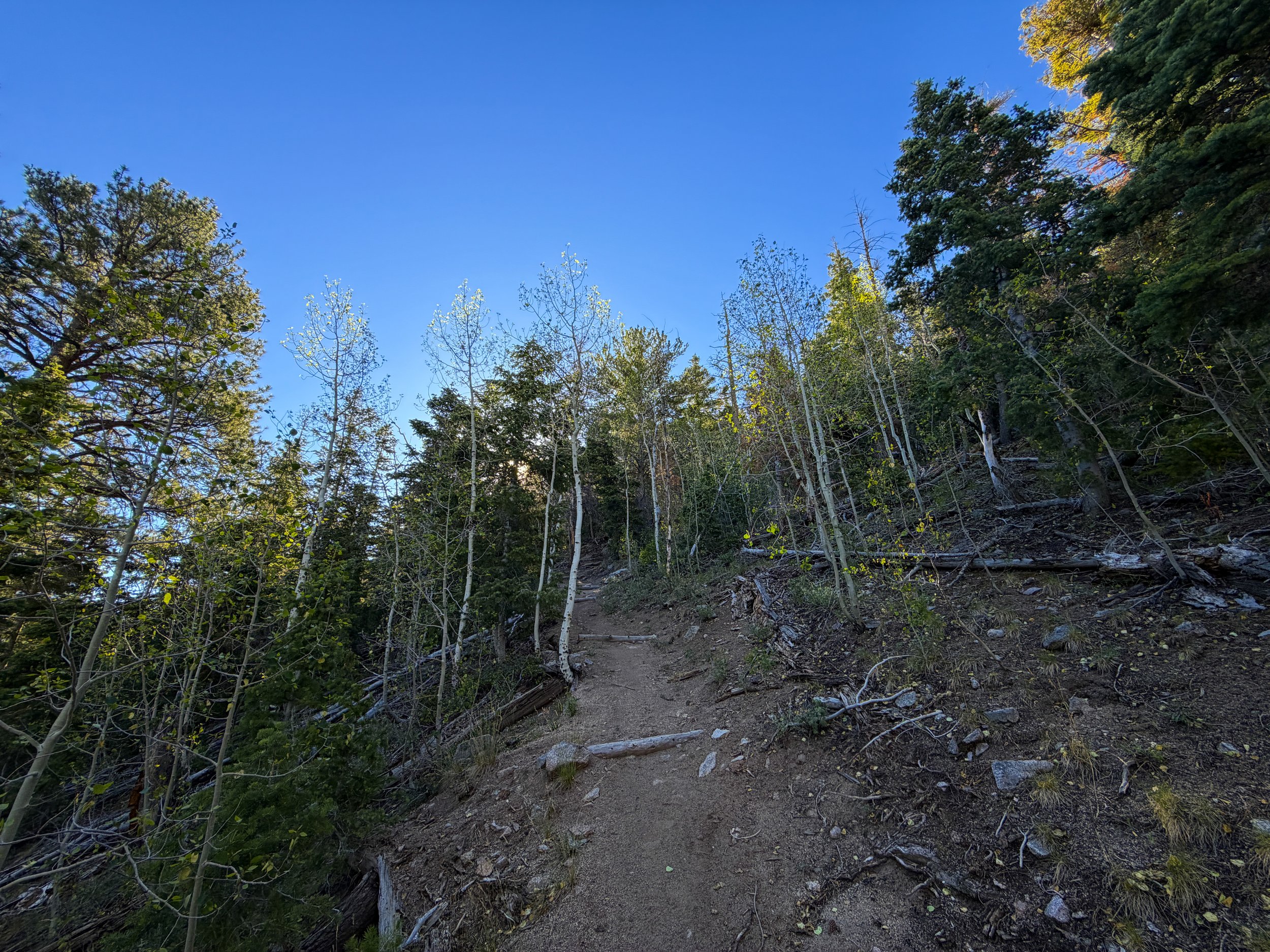 Snake Divide Trail Great Basin National Park Nevada