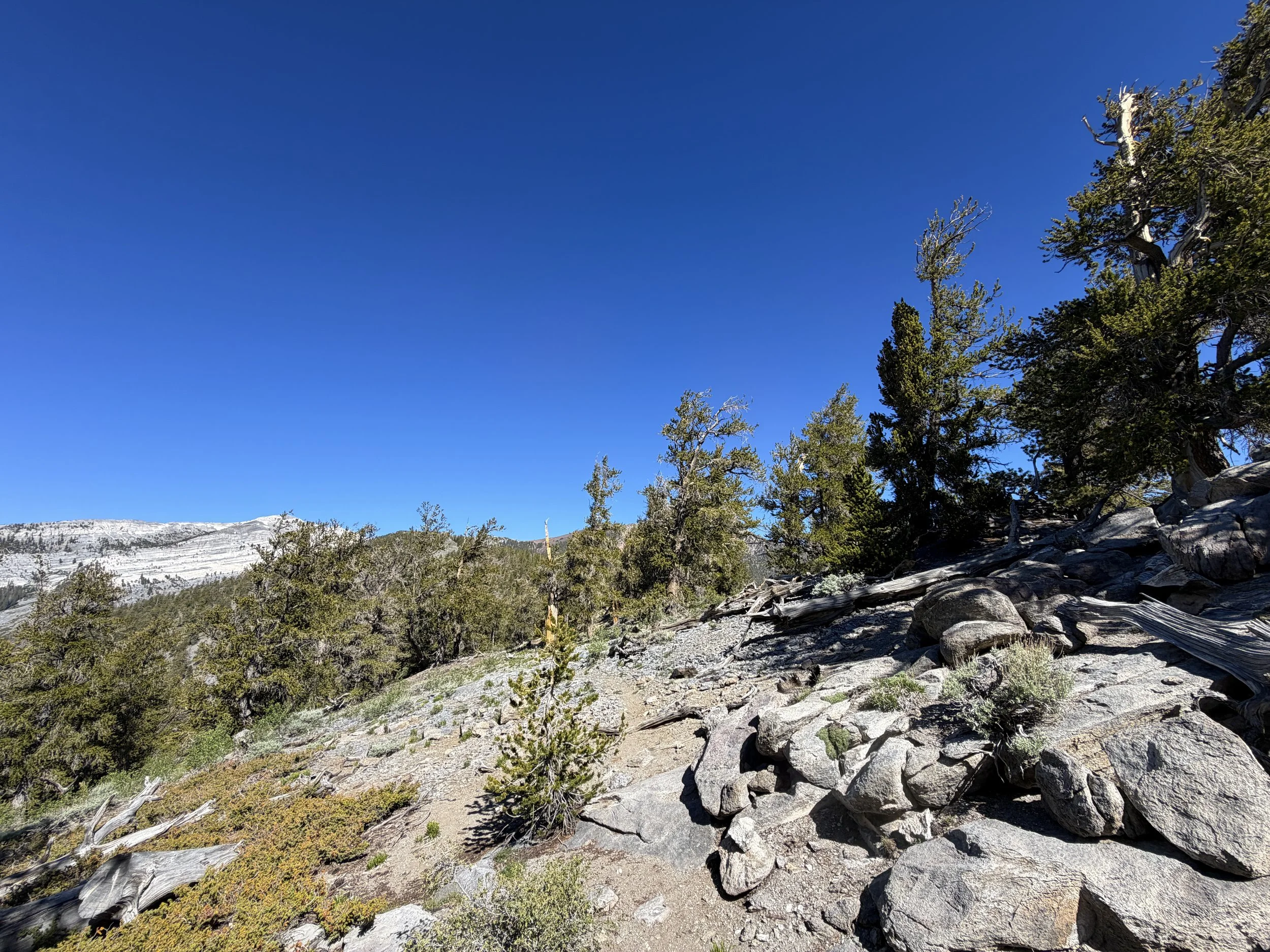 Snake Divide Hike Great Basin National Park Nevada